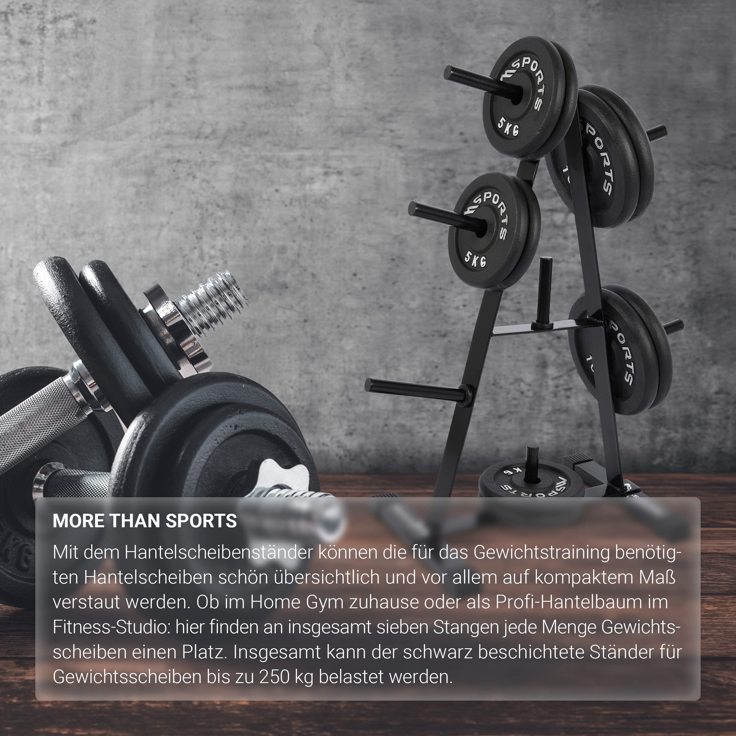 MSPORTS Hantelscheibenständer Premium Hantelbaum, Scheibenaufnahme: 30mm, bis 250 kg belastbar Schwarz