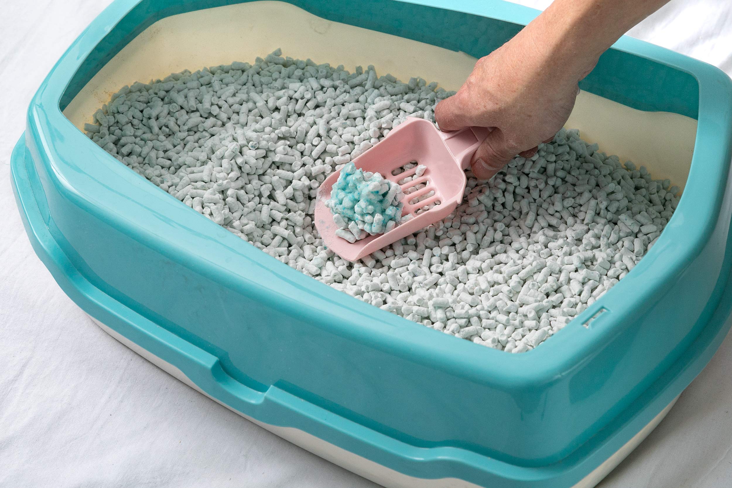 Amazon | ネオ・ルーライフ ネオ砂 ブルー 猫砂 12L 単品 | ネオ