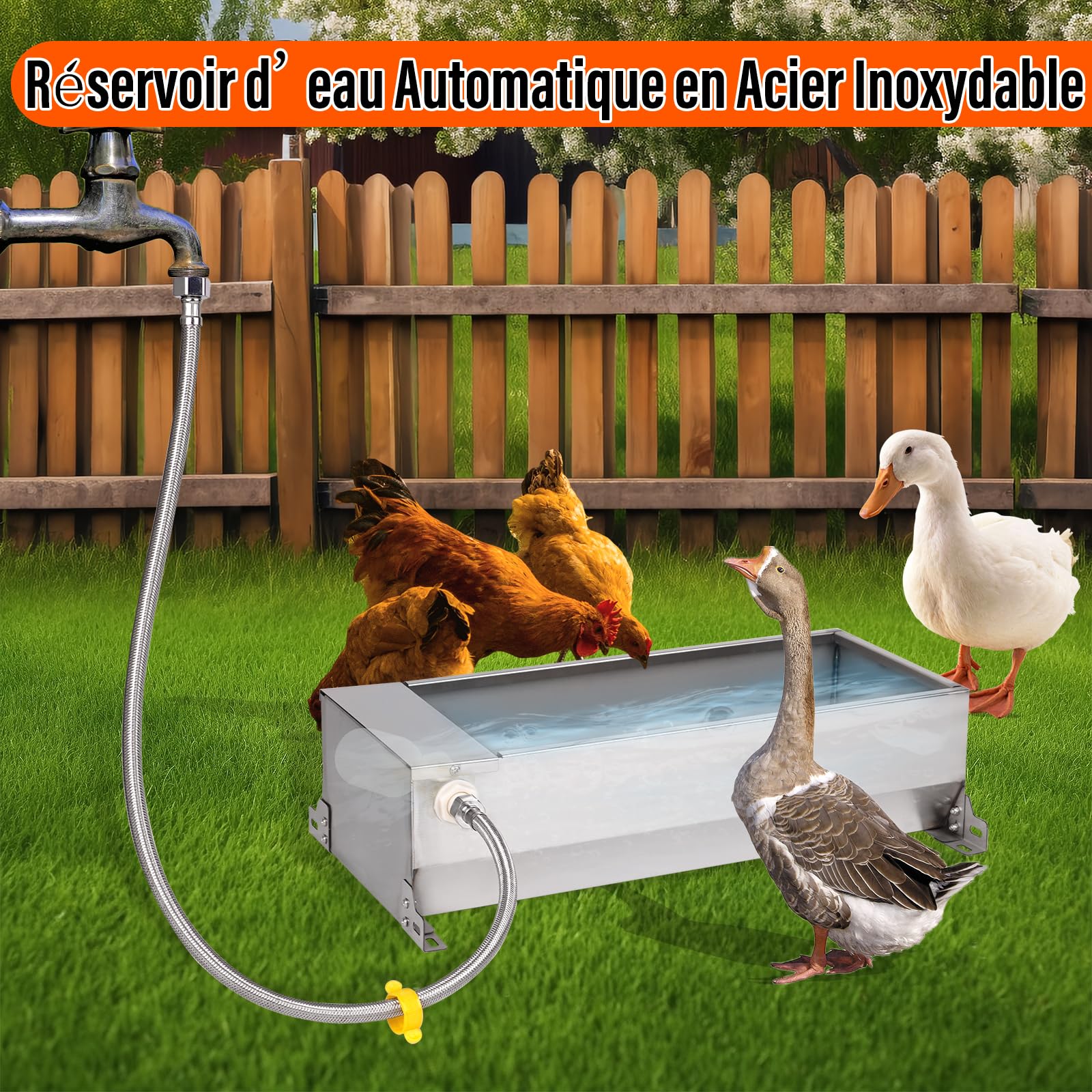 Abreuvoir Automatique Pour ChèVres en Acier Inoxydable Avec Robinet à Flotteur de 1/2 Pouce Abreuvoir Pour Bovins, Chevaux et Chèvres BéTail, Chiens et Volailles Abreuvoirs Fournitures Pour le BéTail