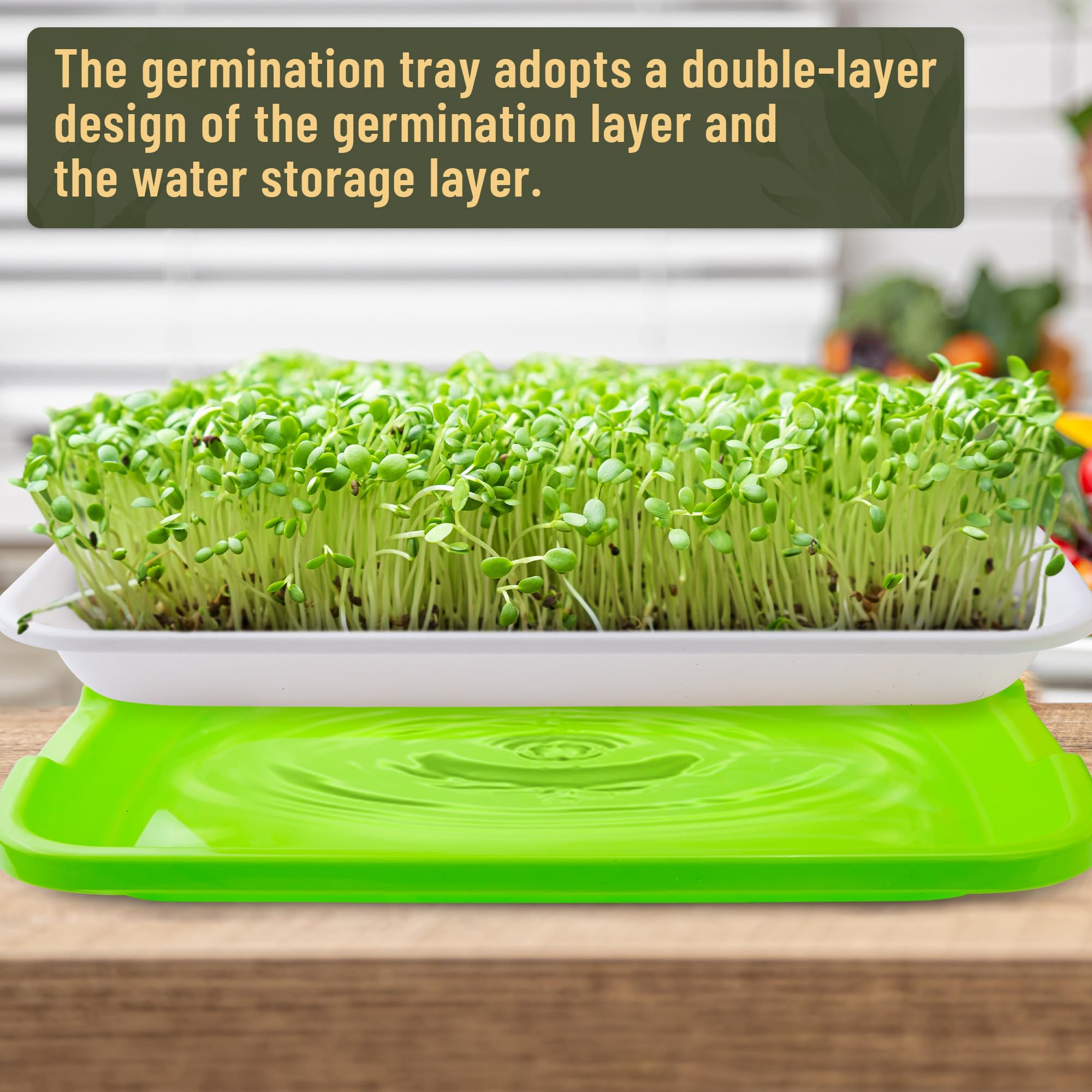 Lot de 10 plateaux de germination de graines avec trous de drainage, kit de germination des graines sans BPA, plateau d'herbe de blé sans terre, kit de culture de micropousses (vert)