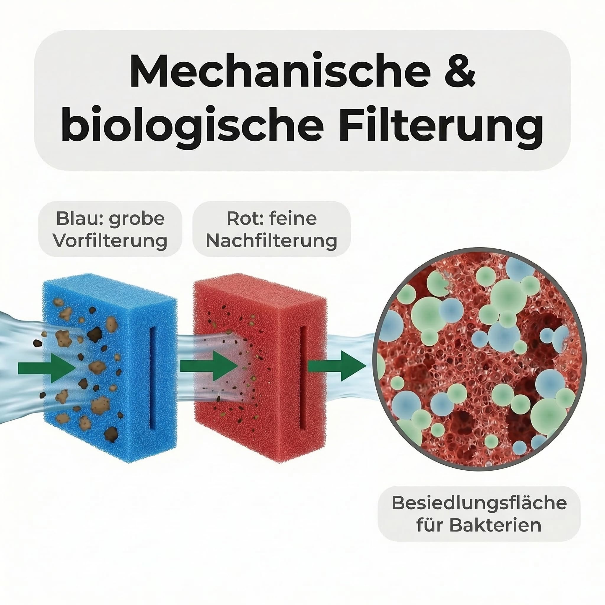 Pondlife Filterschwamm-Set für Teichfilter, kompatibel mit Oase BioTec 18 und ScreenMatic 18, 16er Set: 8× Blau grob PPI10 + 8× Rot fein PPI30, ca. 21,5 × 15,5 × 9 cm
