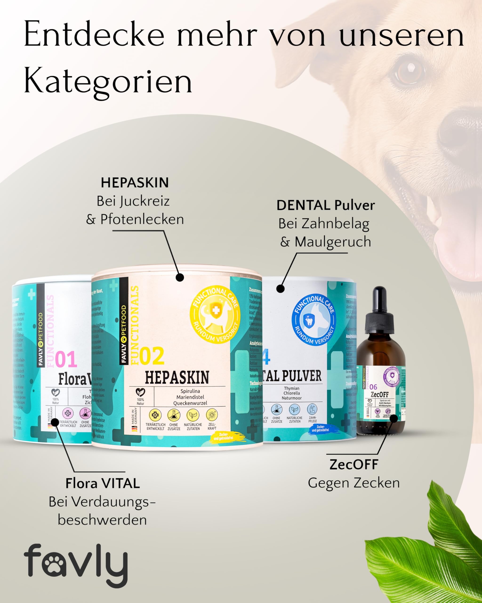 FAVLY – UROCARE Nieren & Blase Pulver 250g für Hunde & Katzen – Futtertopping zur Unterstützung bei Harnstein, Infekt & CNI – mit Arnika, Propolis, Ringelblume & Kokos – Ohne Getreide & Zusätze