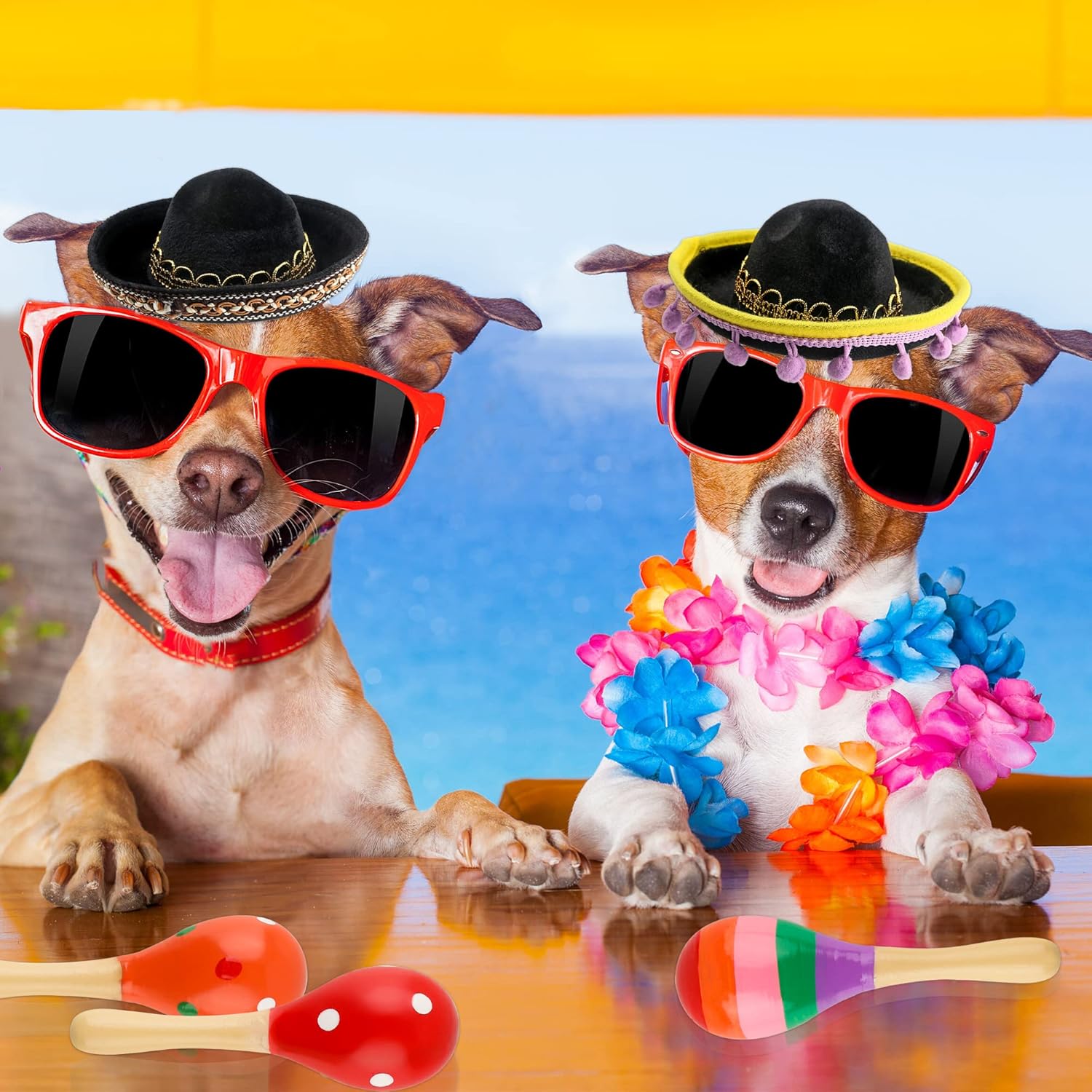 Fiesta Party Favors: 12 Sombrero Headbands and 12 Colorful Wooden Maracas for Mexican Themed Parties and Celebrations