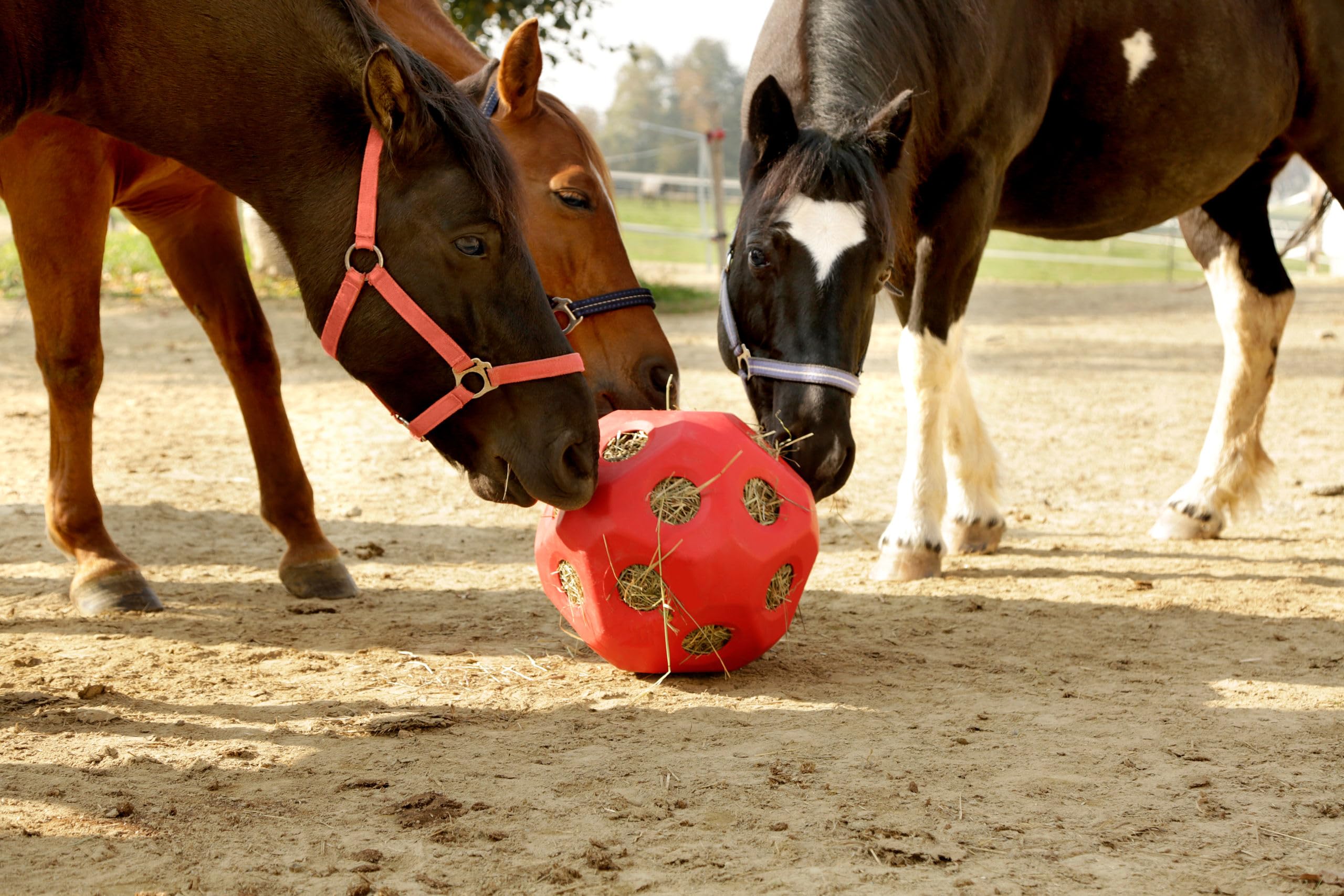 Kerbl Pelota de alimentación roja Ø40 cm rellenable para caballos y terneros