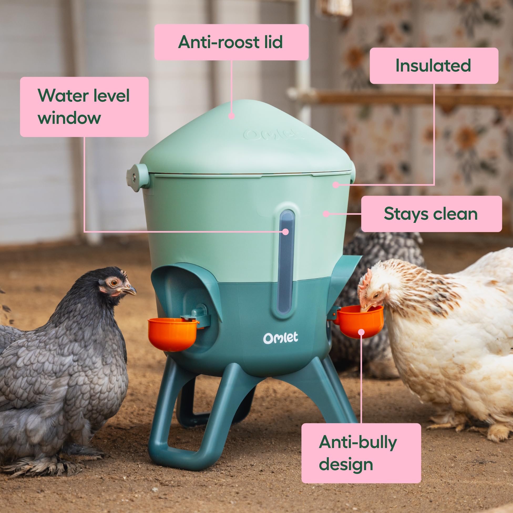 Omlet Bebedero aislado para pollos, 5,5 litros, dispensador automático de agua para pollos, sin BPA, tapa abovedada antiroost, incluye 5 tazas y tetinas, color verde salvia