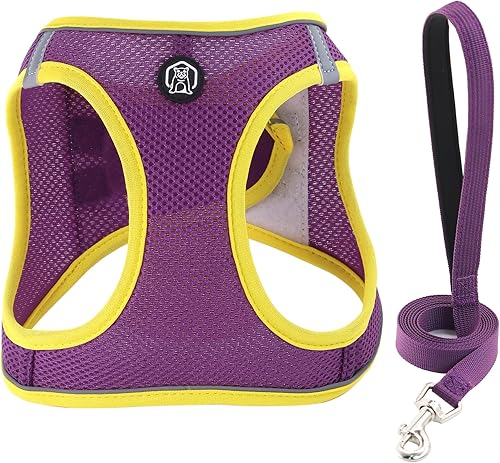 Miniatura 1 de Balabuki Chaleco arnés para perros pequeños y medianos sin tirones, fácil de caminar, suave paso en el suelo, a prueba de escape, juego de arnés