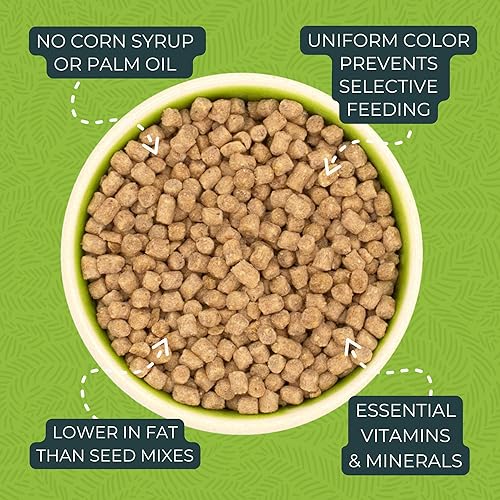 Miniatura 29 de ZuPreem Sensible Seed - Alimento para pájaros para loros y conures, mezcla de semillas premium, pellets FruitBlend para Caiques, grises africanos