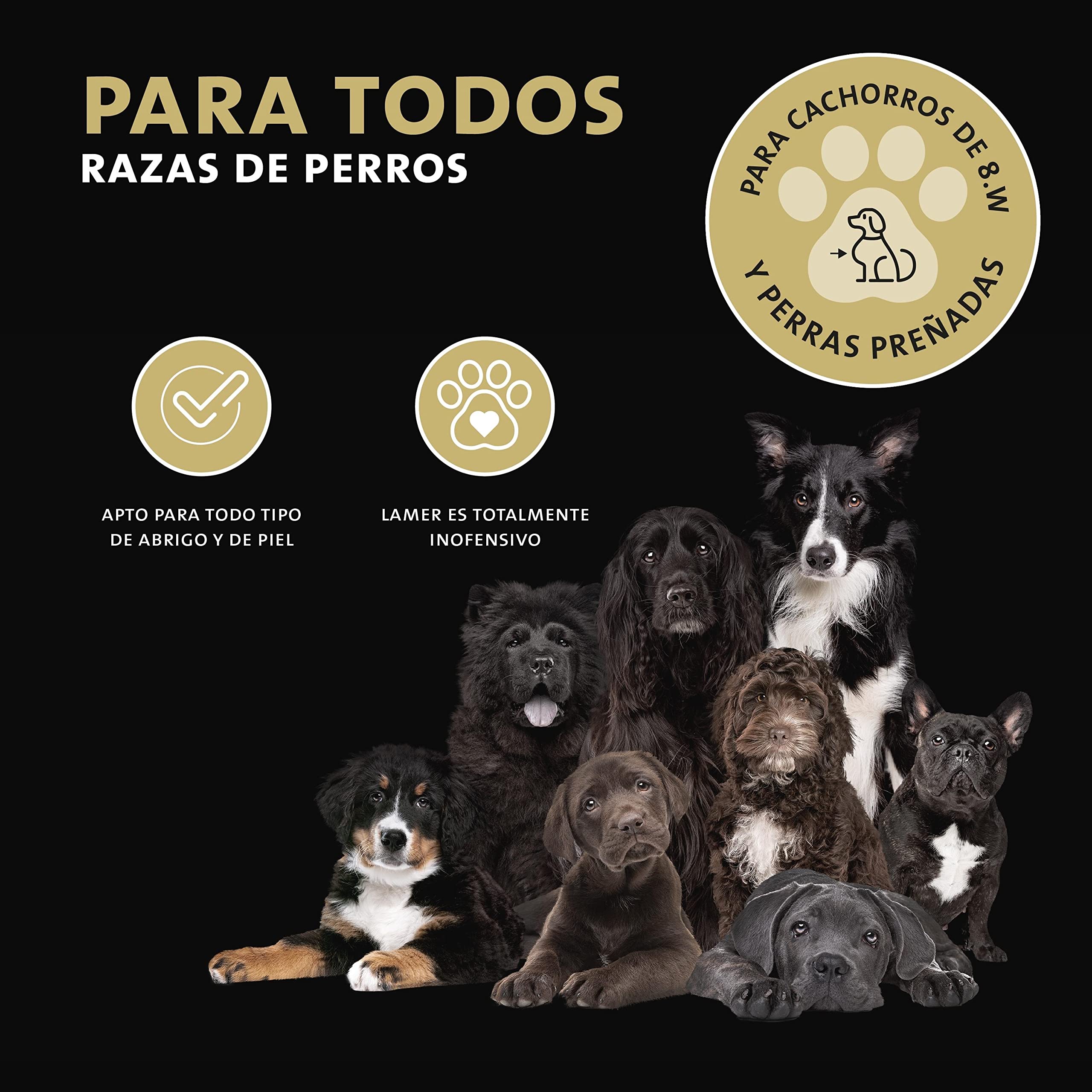 Peticare Spot-On protección contra Las garrapatas para Perros y Gatos - protección Anual, también contra los ácaros, Posibilidad Flexible de actualización - petAnimal Protect 2161