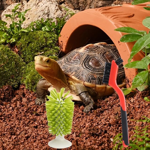 Foto 3 de 3 de 2 cepillos de tortuga con ventosa, cepillo de limpieza de caparazón de tortuga y cepillo exfoliante de tortuga