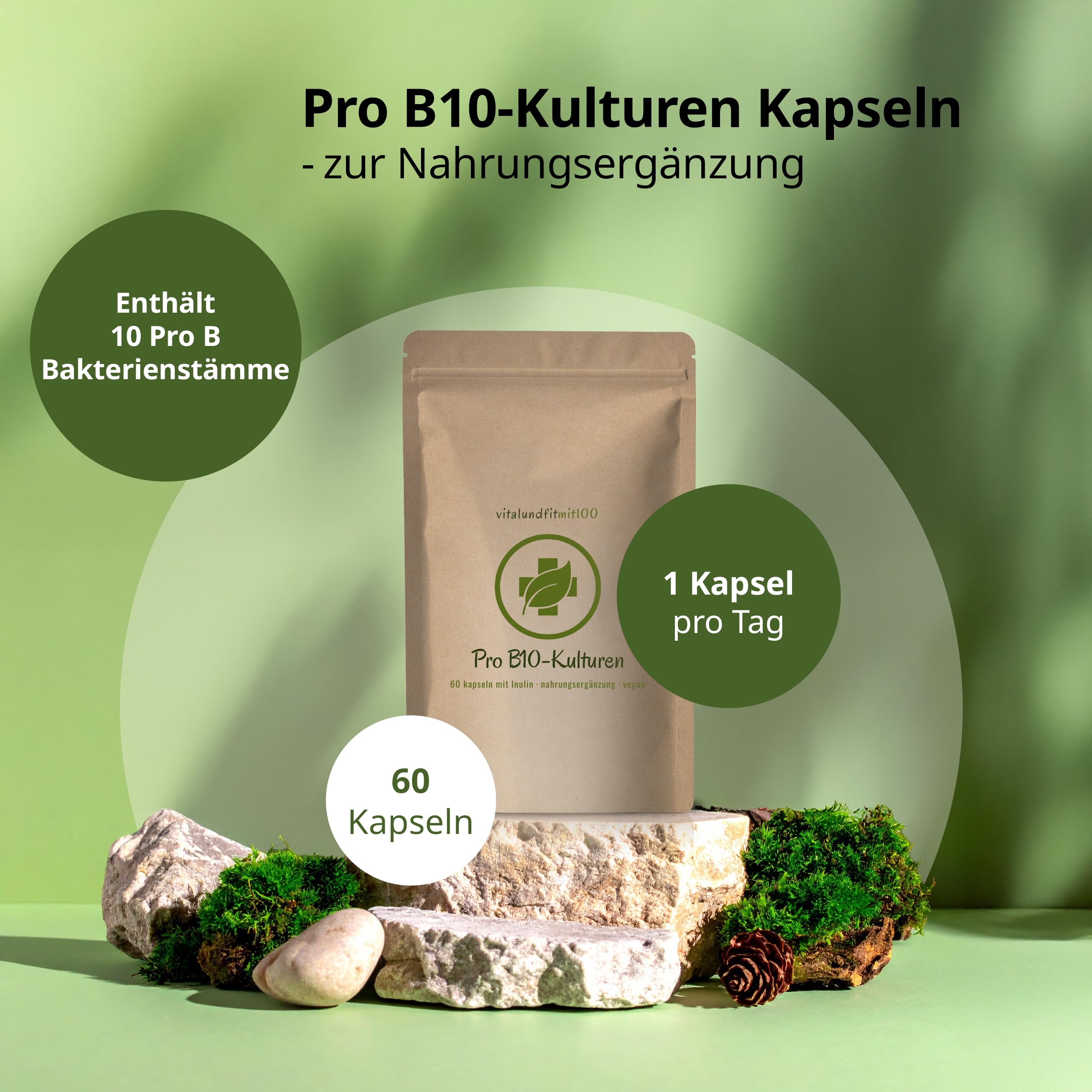 Pro B 10-Kulturen - 60 magensaftstabile Kapseln mit Inulin - 3 Milliarden KBE - vegan/rein - gentechnikfrei - ohne Hilfs- und Zusatzstoffe - MADE IN GERMANY
