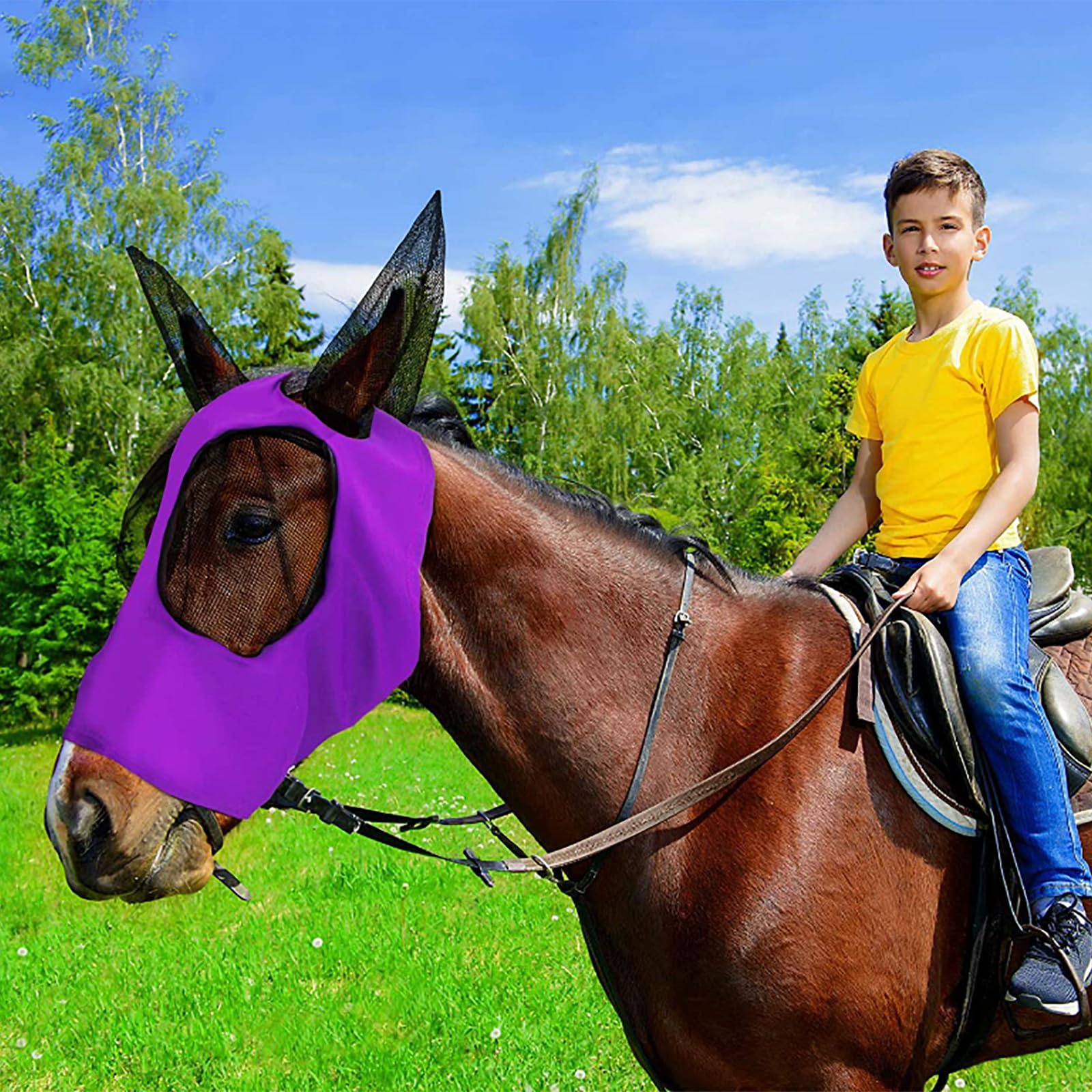 Máscara Antimoscas para Caballos 6piezas,máscara Antimoscas Elástica con Orejas,Cara Cómoda,Transpirable Y En Forma,Proporciona Un 60% protecciónsolar Y 100% antimosquitos,para Hipódromo Granja