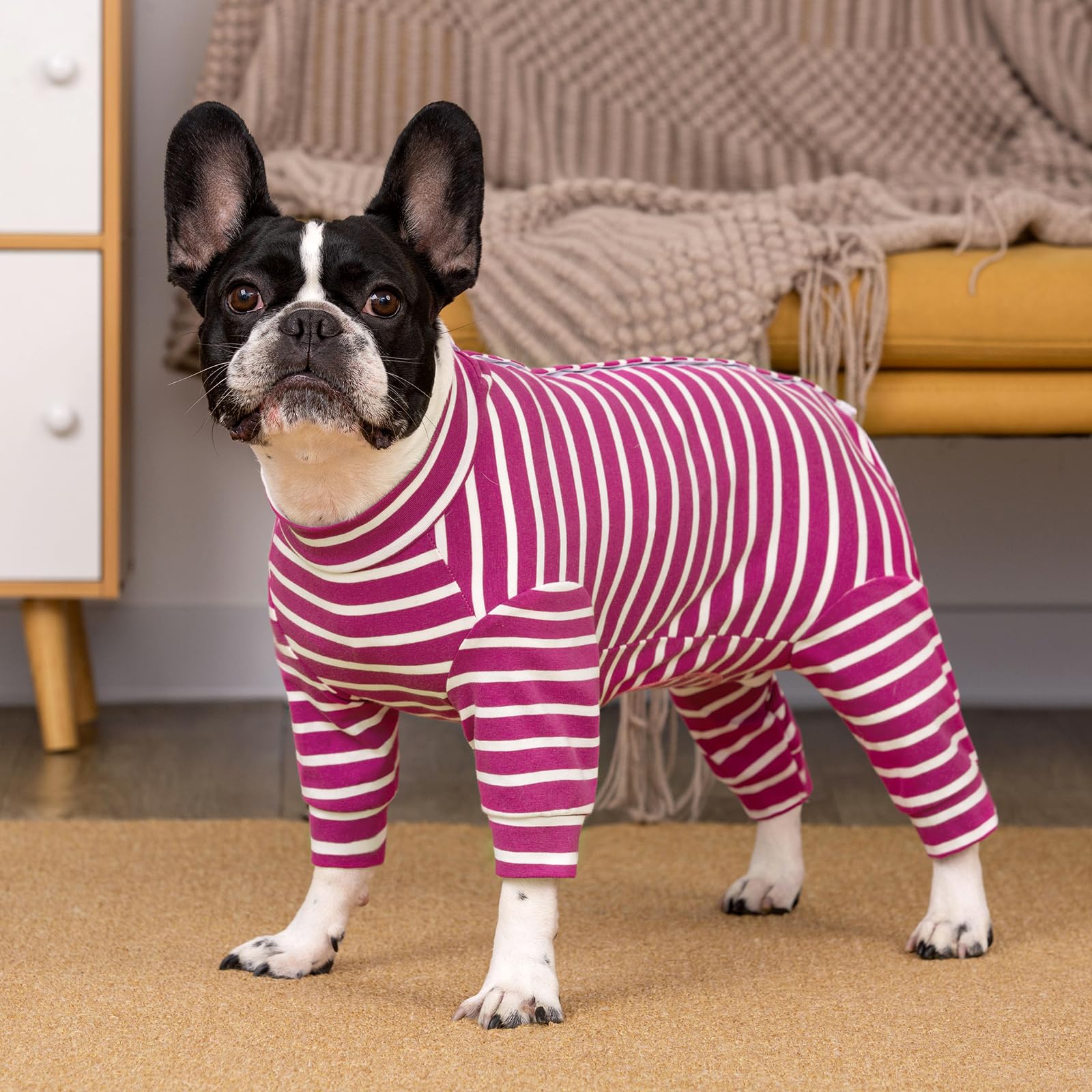 Body pour Chien à Manches Longues - Protection des Plaies Après Op - Pyjama Anti-fuite pour Chiens de Petite et Moyenne Taille - Corps Chirurgical pour Chiot et Castration