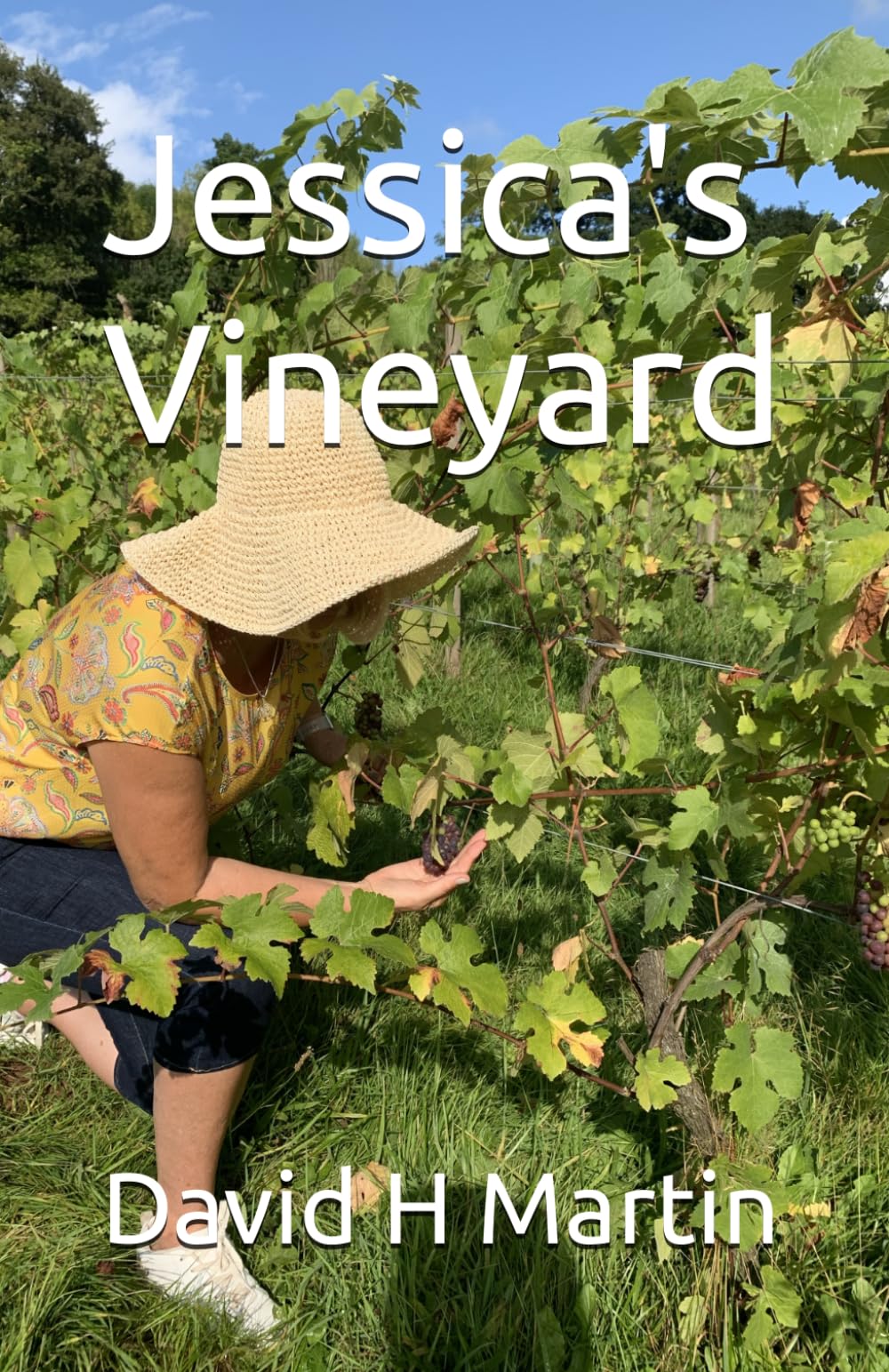Jessica's Vineyard