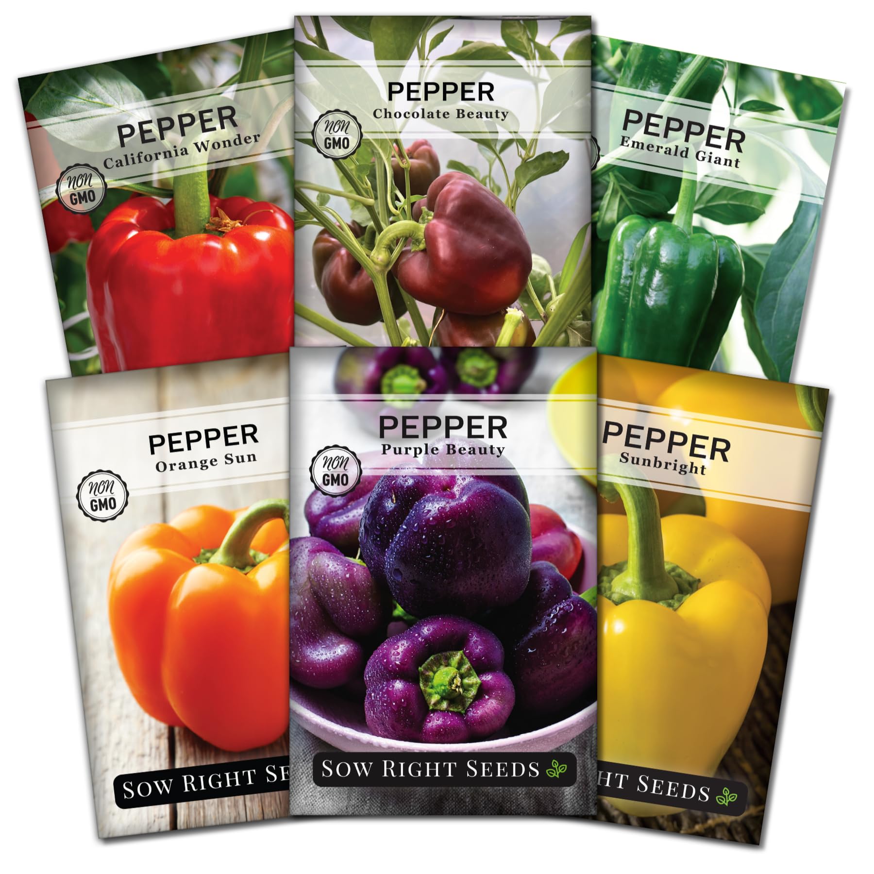 Sow Right Seeds - Sweet Bell Pepper Seed Collection for Planting a Home Garden - Cal Wonder, Emerald Giant, Orange Sun, Purple Beauty, Sunbright, Chocolate Beauty - Non-GMO Heirloom Variety Pack