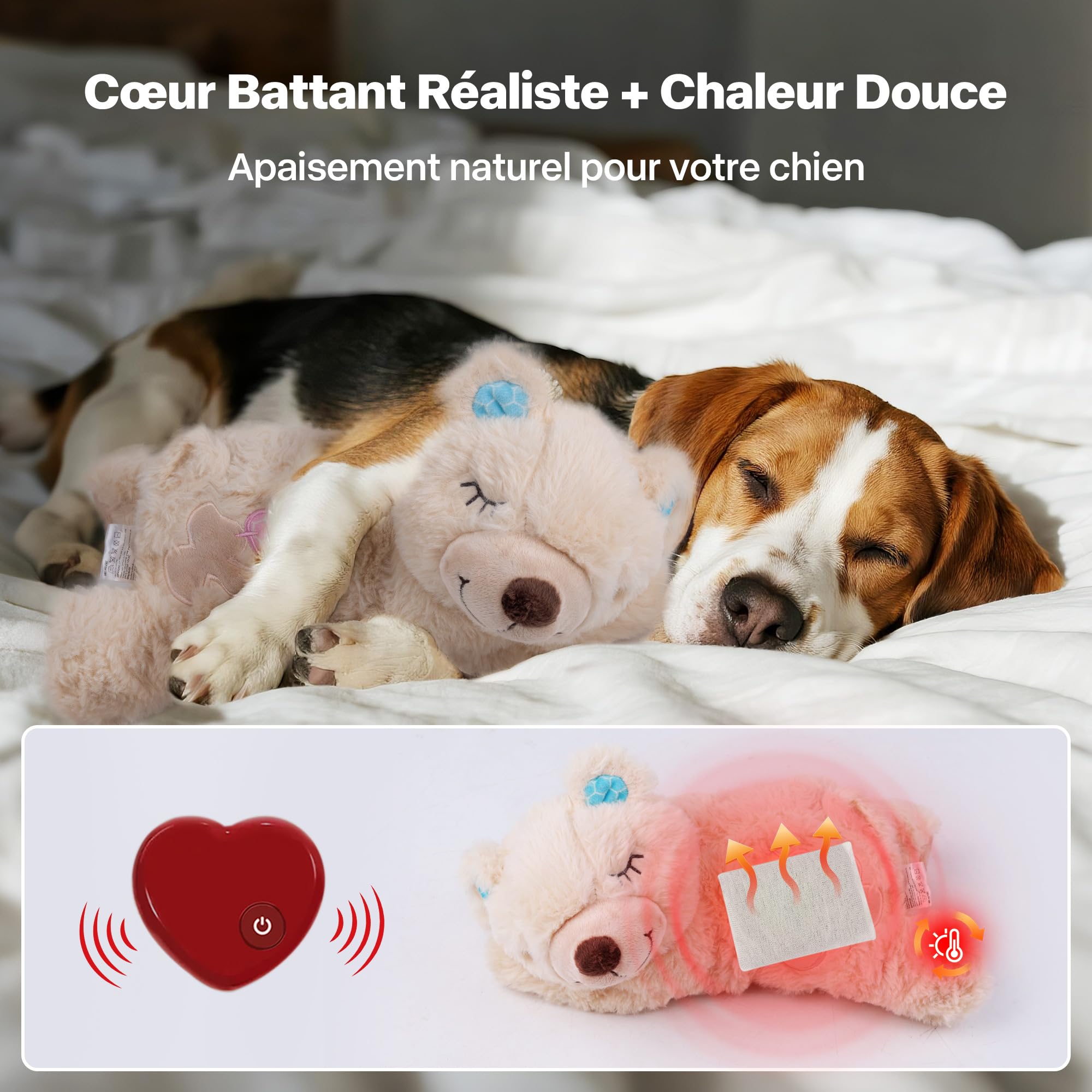 Pet Prime Peluche Apaisante pour Chien (Ours) – avec Battement de Cœur & Sac Chauffant, Anti-Stress, Sommeil Paisible, Idéal Contre l'Anxiété de Séparation