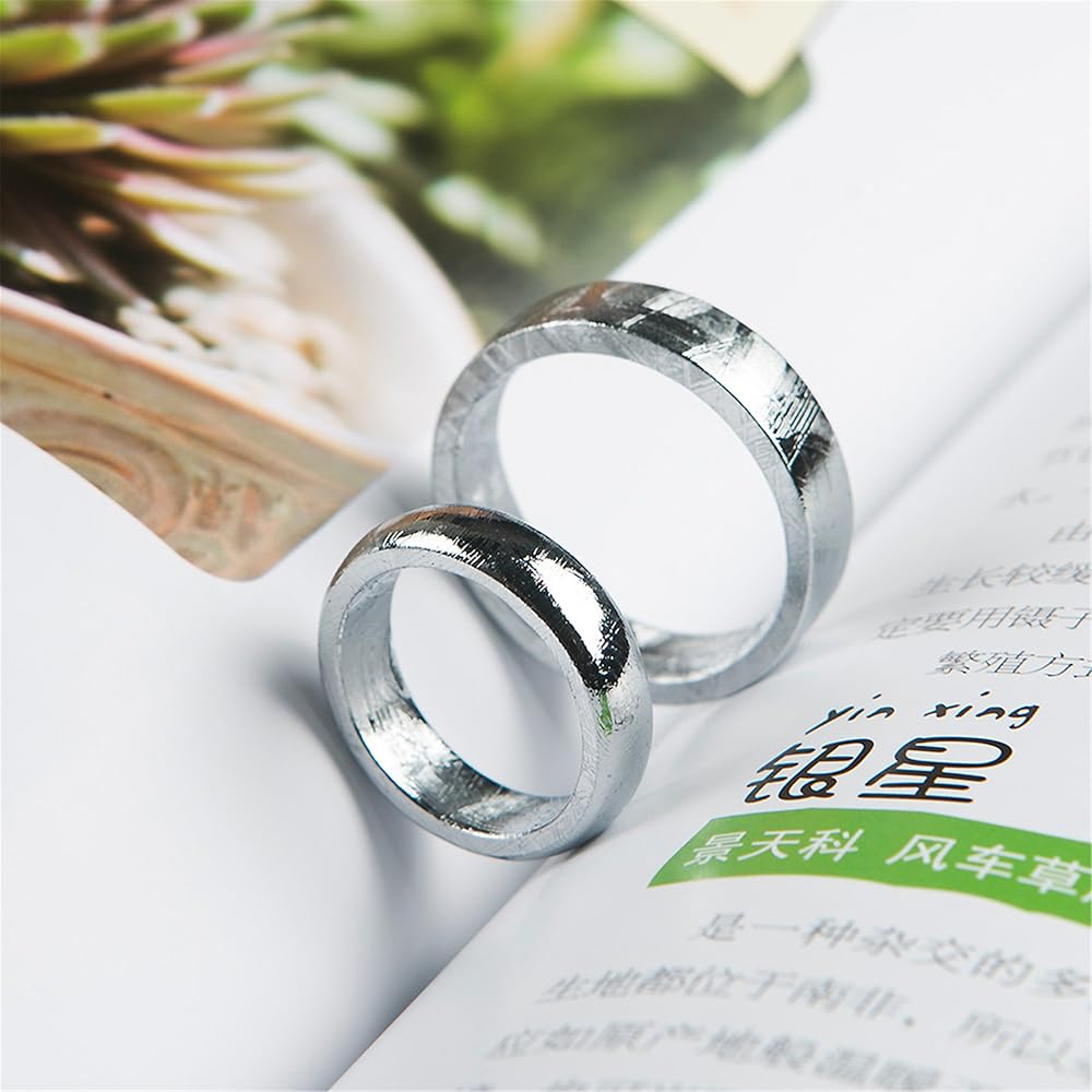 Amazon | 本物の天然Gibeon隕鉄シルバーメッキファッションリング