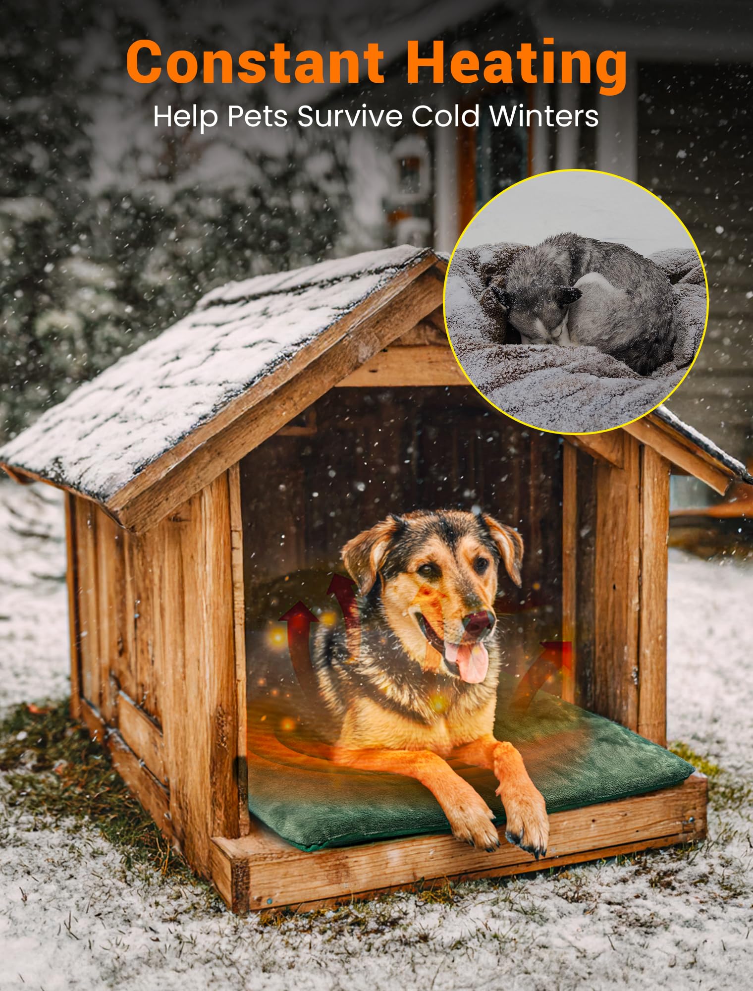 PETNF Heizkissen für Katzen und Hunde, 38-42 °C, automatische Temperaturregelung, wasserdicht, feuerfest, für Katzenhaus/Hundehütte/Terrasse, passend für Haustiere und streunende Haustiere (Grün, 60 x
