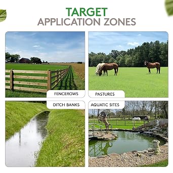 Alligare Imazapyr Herbicide 4 SL for Broad Spectrum Control of 185 Annual, Biennial, and Perennial Weeds & Brush - 1 Quart Liquid Weed Killer, Ideal for Rangeland, Bare-Ground, and Site Preparation