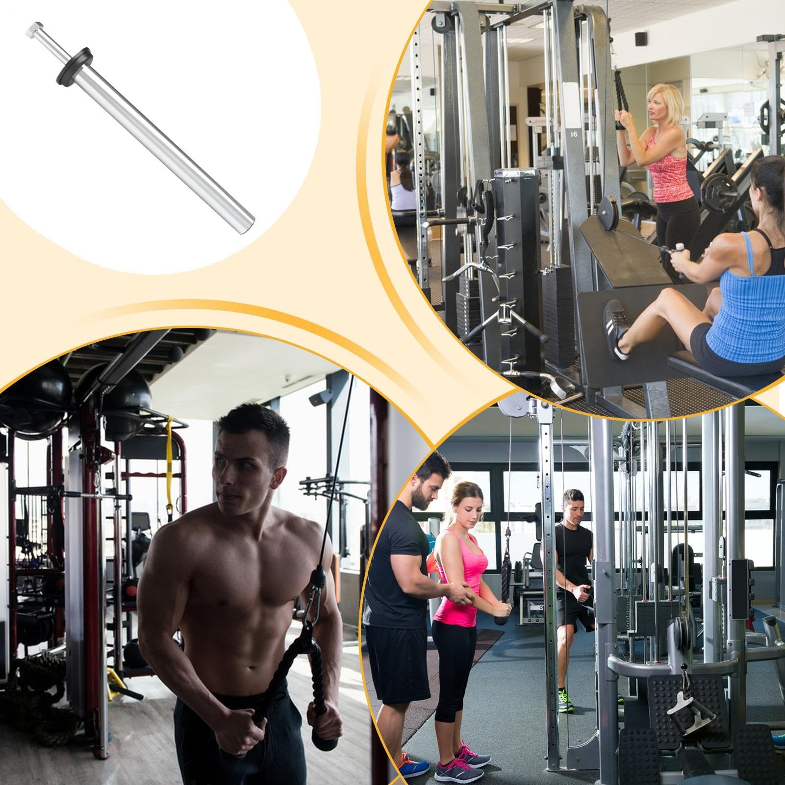 Halter Für Hantelscheiben, Edelstahl Hantelscheiben Aufbewahrung für Fitnessstudio, Stabile Und Platzsparende Barbell Zubehöre