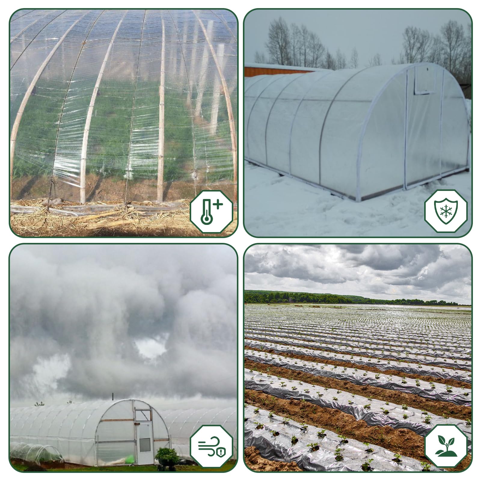 SWTYExt Broeikasfolie, polyethyleenfolie, 2 x 6 m, folie, broeikas, transparant, extra dik, broeikaszeil, scheurvast, folie voor folietunnel, afdekfolie, tomatenkas, groenten en planten
