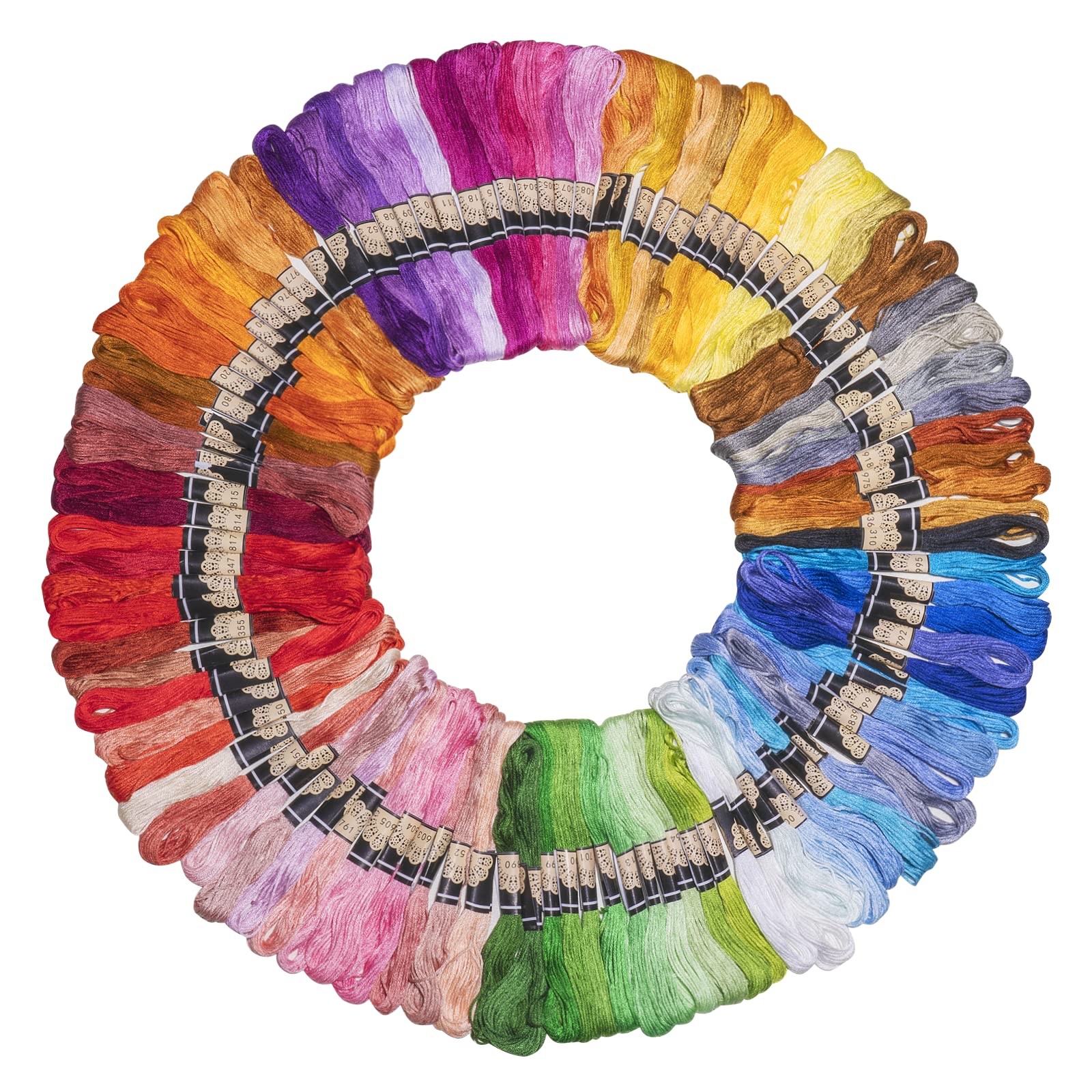 Filo da Ricamo 100 colori Punto Croce kit da Ricamare Multicolore per Treccine Capelli Braccialetti Ricami Embroidery Floss fai da te, 8 m, 6 fili, filo per cucito all'uncinetto