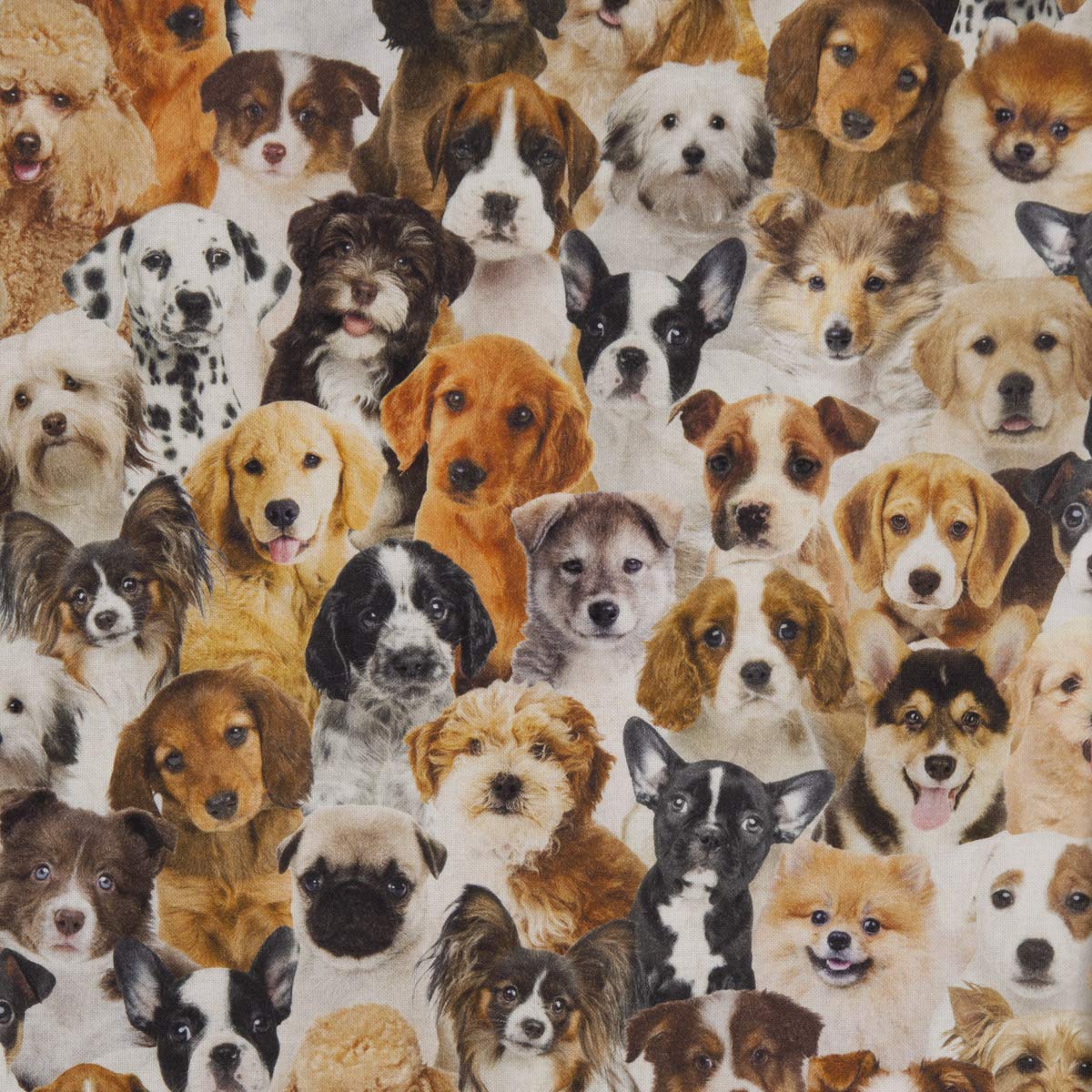 SCHÖNER LEBEN. Zugluftstopper Digitaldr. Hunde Welpen braun weiß schwa, Auswahl:120cm Länge