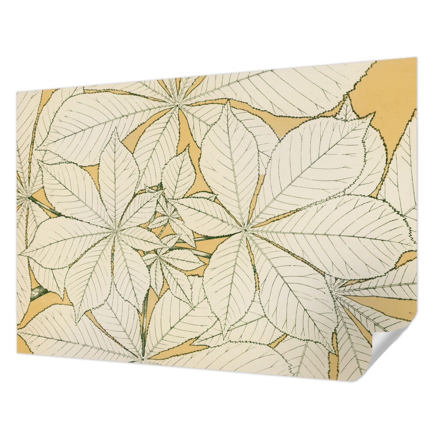 Papier peint autocollant 208x146 cm à motif de feuilles de châtaignier Tulup