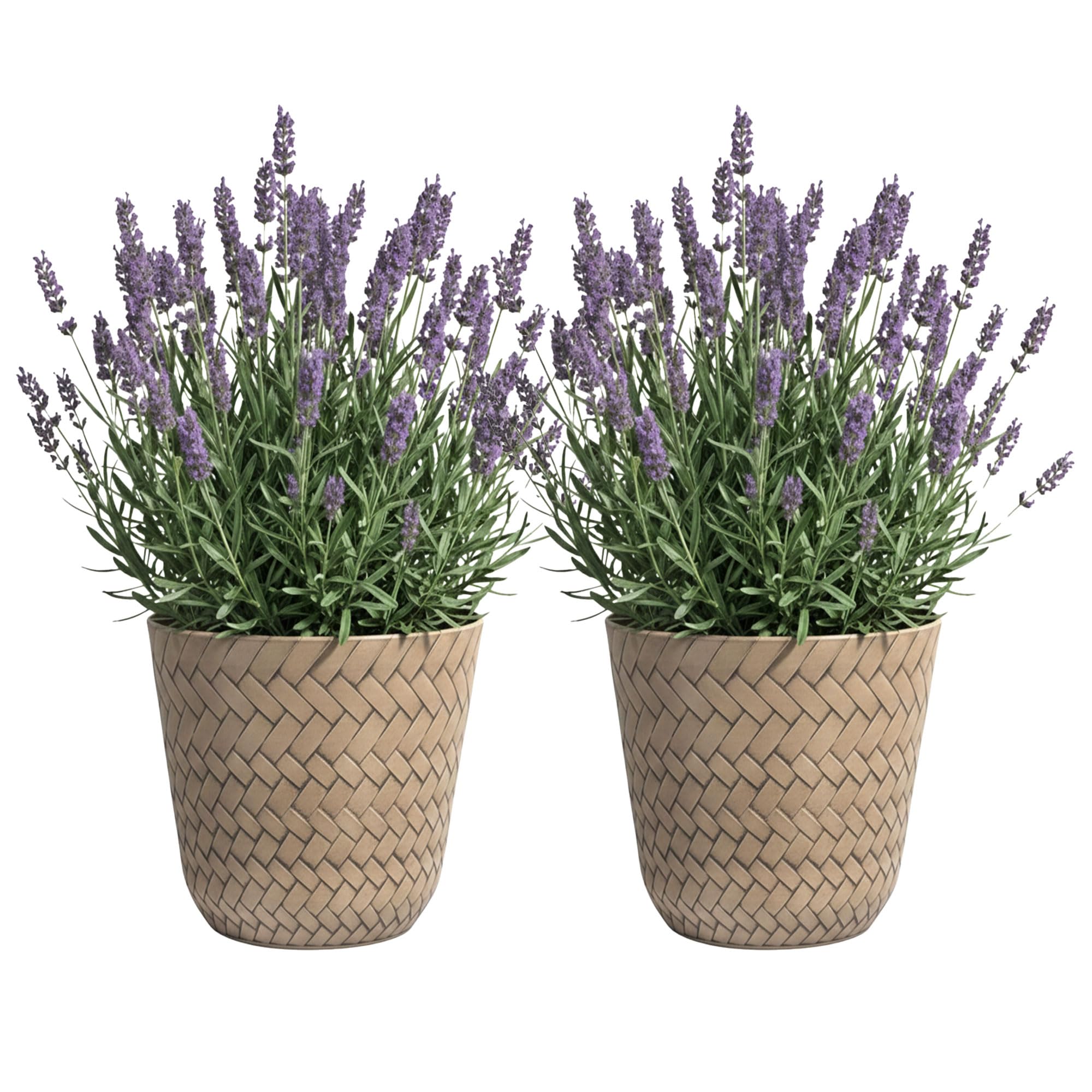SG Traders Nantucket Plant Pot - Flower Planters Outdoor, Large Garden Plant Pots Elegant Design, Versatile Pots and Planters for Your Outdoor to Enhance The Garden (Pack of 2) โ image 1