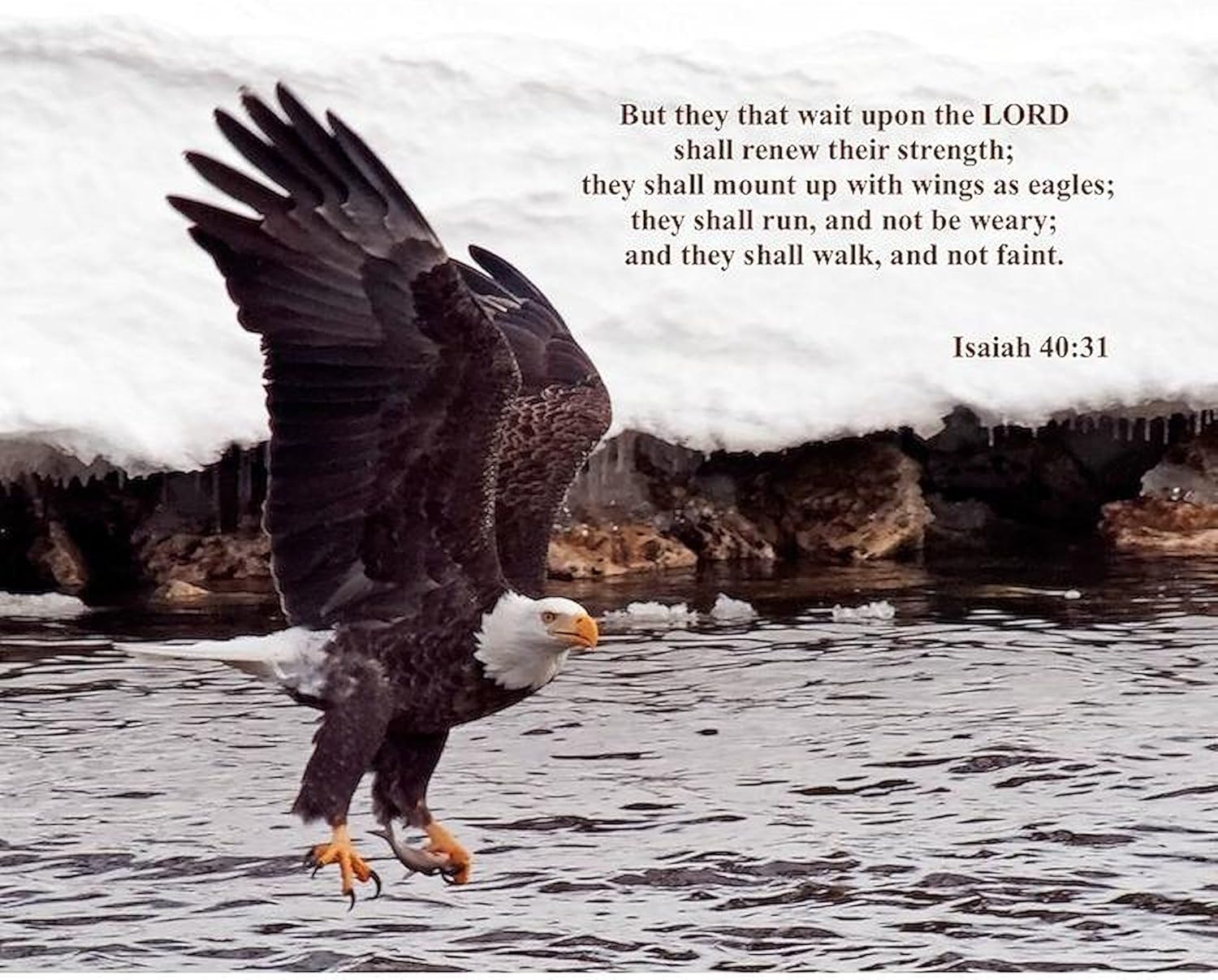 CafePress Wings As Eagle Isaiah 40:31 Decorative Fabric Shower Curtain