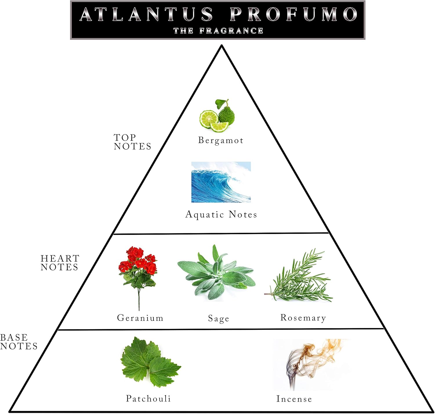 Atlantus Profumo - Eau De Parfum, Fragrance for Men (100 ml), Clear. Colourless, 100 ml (Pack of 1) - Image 3