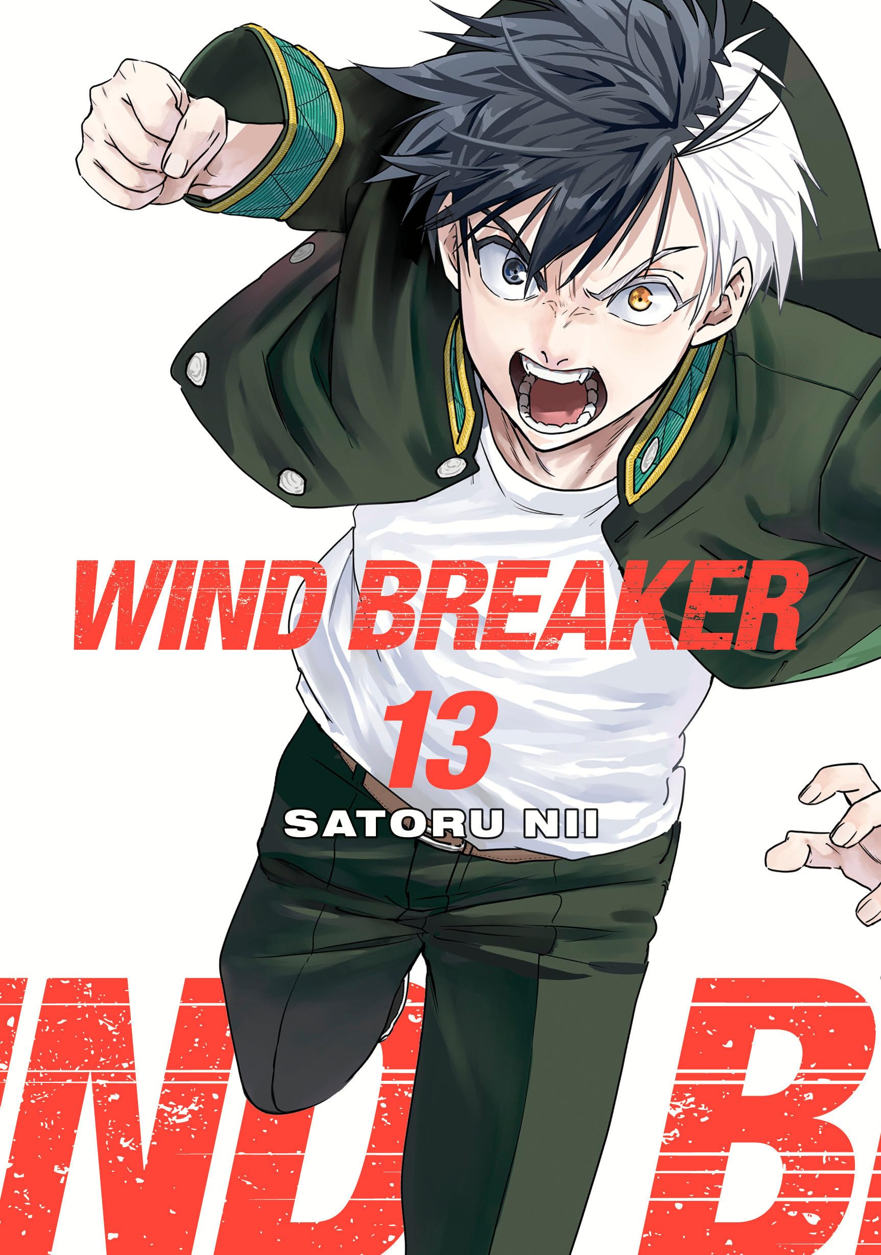 WIND BREAKER 13