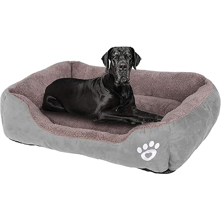 comfortable beds for dogs