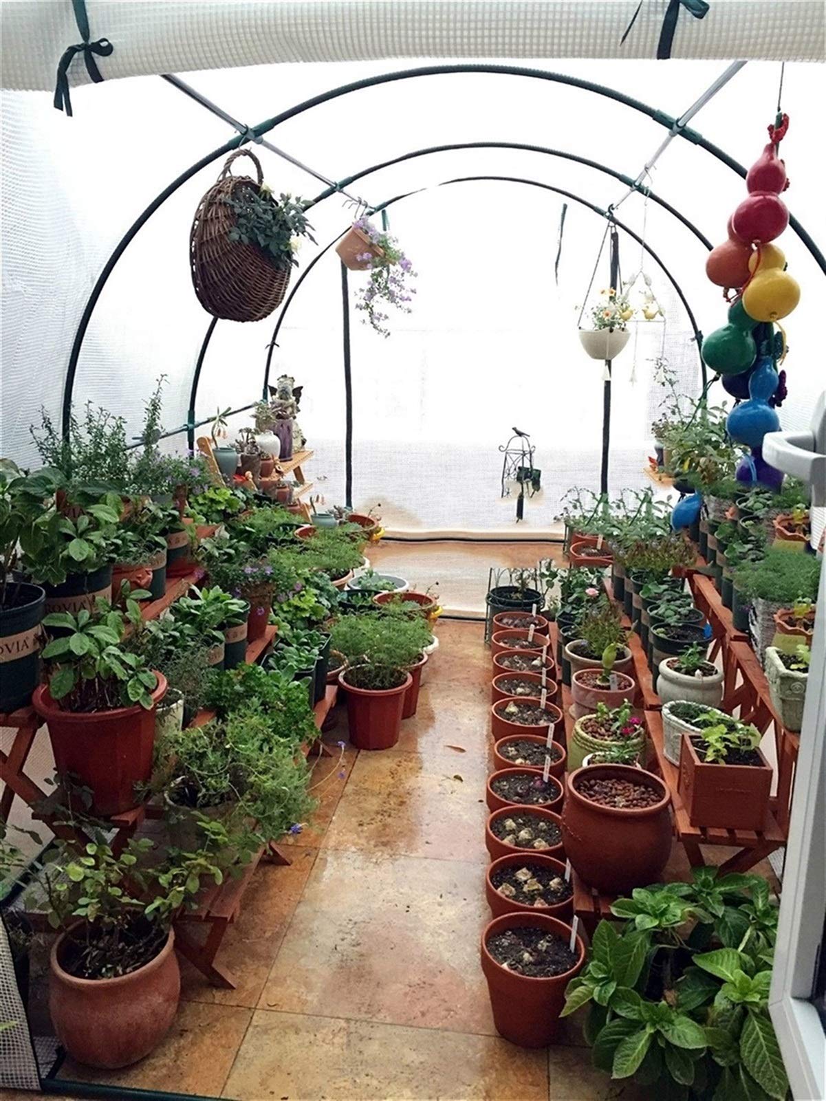 HWF Serra da Balcone Giardino Inverno Serra di Piante Poly Tunnel con Ripiani in Metallo, Growhouse All'aperto della Pianta del Pomodoro, 2m / 3m / 4m / 5m / 6m Lunga (Size : 300x200x200cm)
