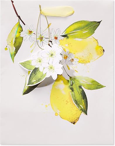 Miniatura 10 de Papyrus Bolsas de regalo con papel de seda (cítricos) para cumpleaños, bodas, despedidas de soltera, baby showers y todas las ocasiones (2 bolsas, 1