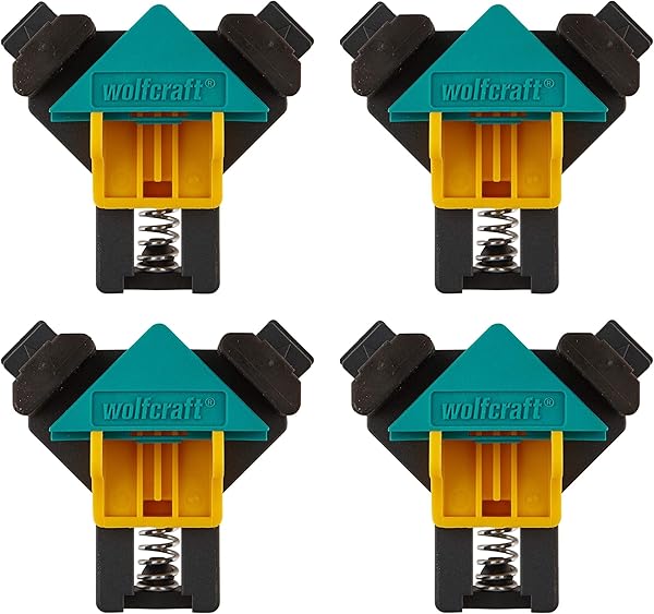 https://m.media-amazon.com/images/I/81Lg+UJDgGL._AC_SL600_.jpg