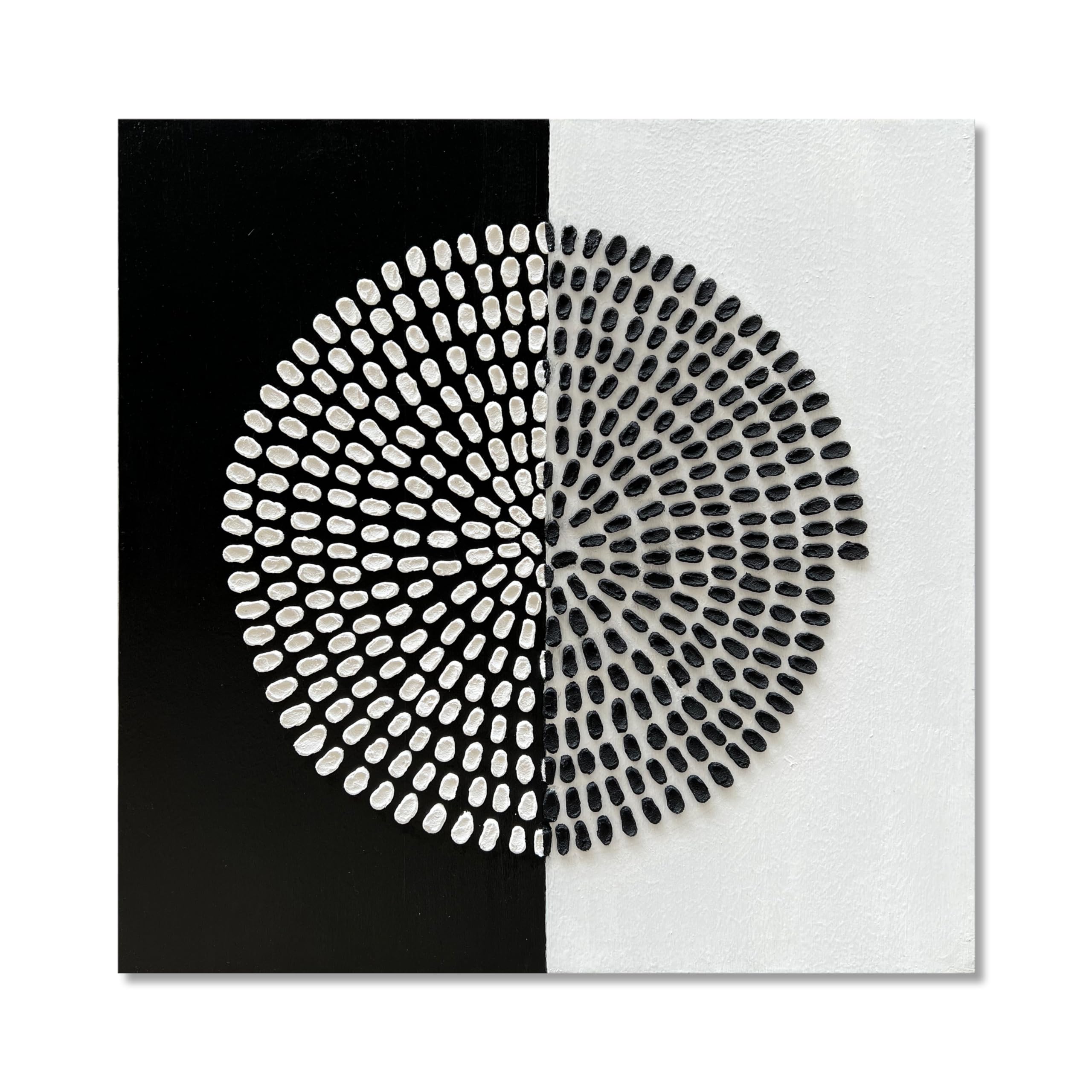 Limiyer Art Black and White Abstract Texture Art Oil Painting Modern Art Canvas Wall Deco Art 30x30 Inches