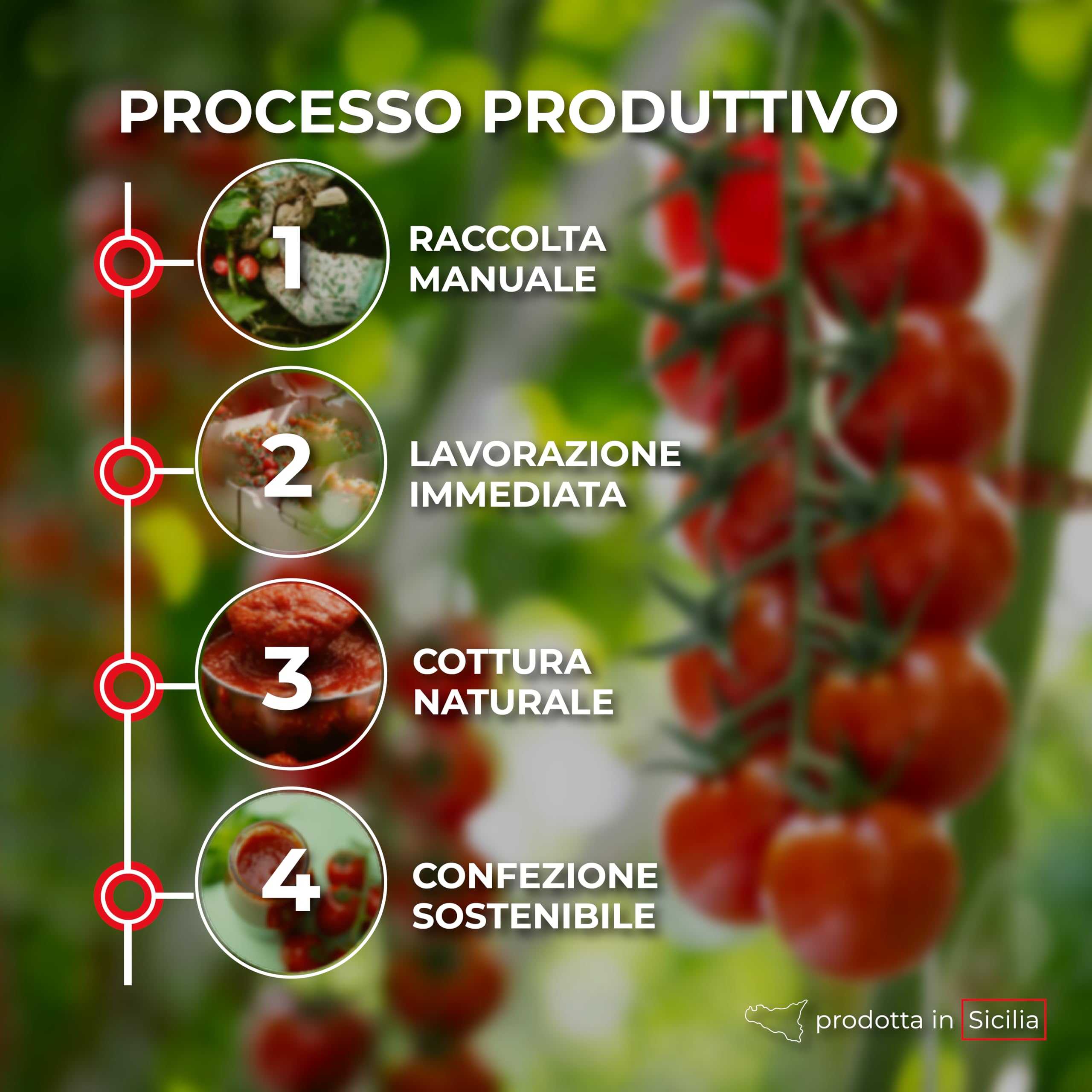 RACILIA Passata de Tomate Ecológica - Mezcla de Tomates Sicilianos Recogidos a Mano - 100% Sicilia - 420g