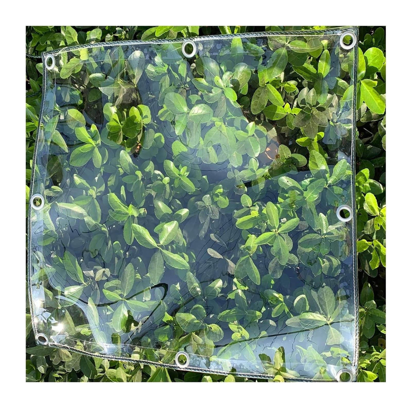 Bâche transparente en PVC 0,5 mm avec œillets | Couverture étanche 5.3x2.8m