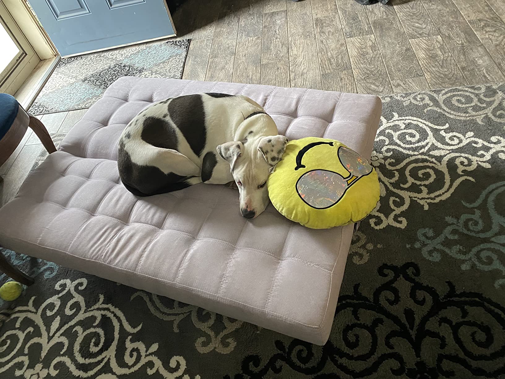 30/mo Finance DHP Ariana Kids Sofa Futon, Converts from Futon to Bed for Kids, Blue Buy Now