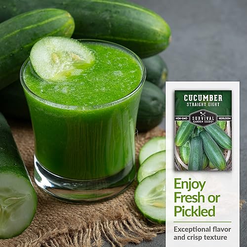 Miniatura 4 de 5 paquetes de semillas de pepino rectas de ocho para plantar, paquete con instrucciones para cultivar pepinos en decapado y rebanar pepinos en tu
