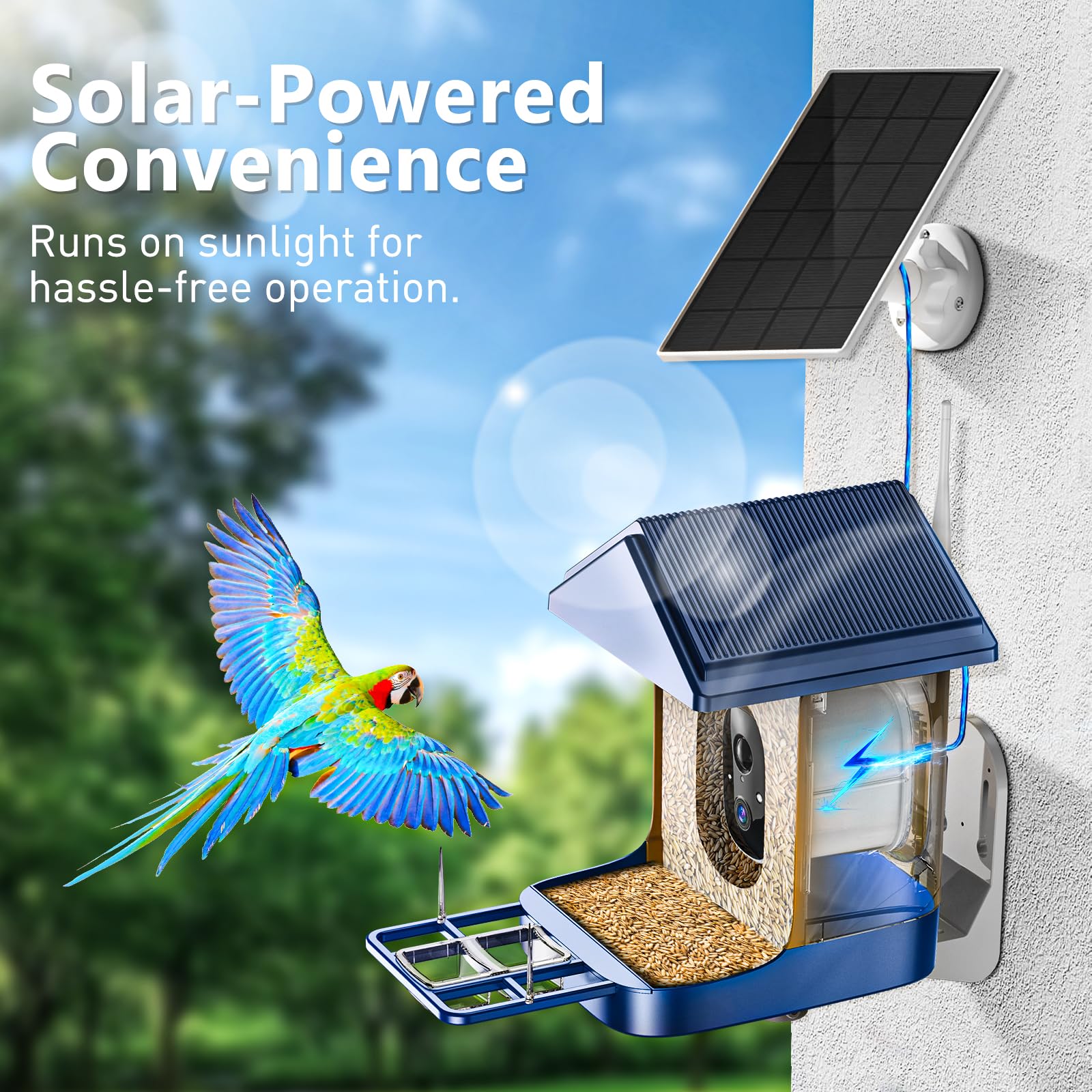 Comedero para pájaros con cámara con identificación IA, panel solar para pájaros de más de 10000 especies, casa inteligente para pájaros con cámara, vista en vivo 2K, alertas de llegada instantánea