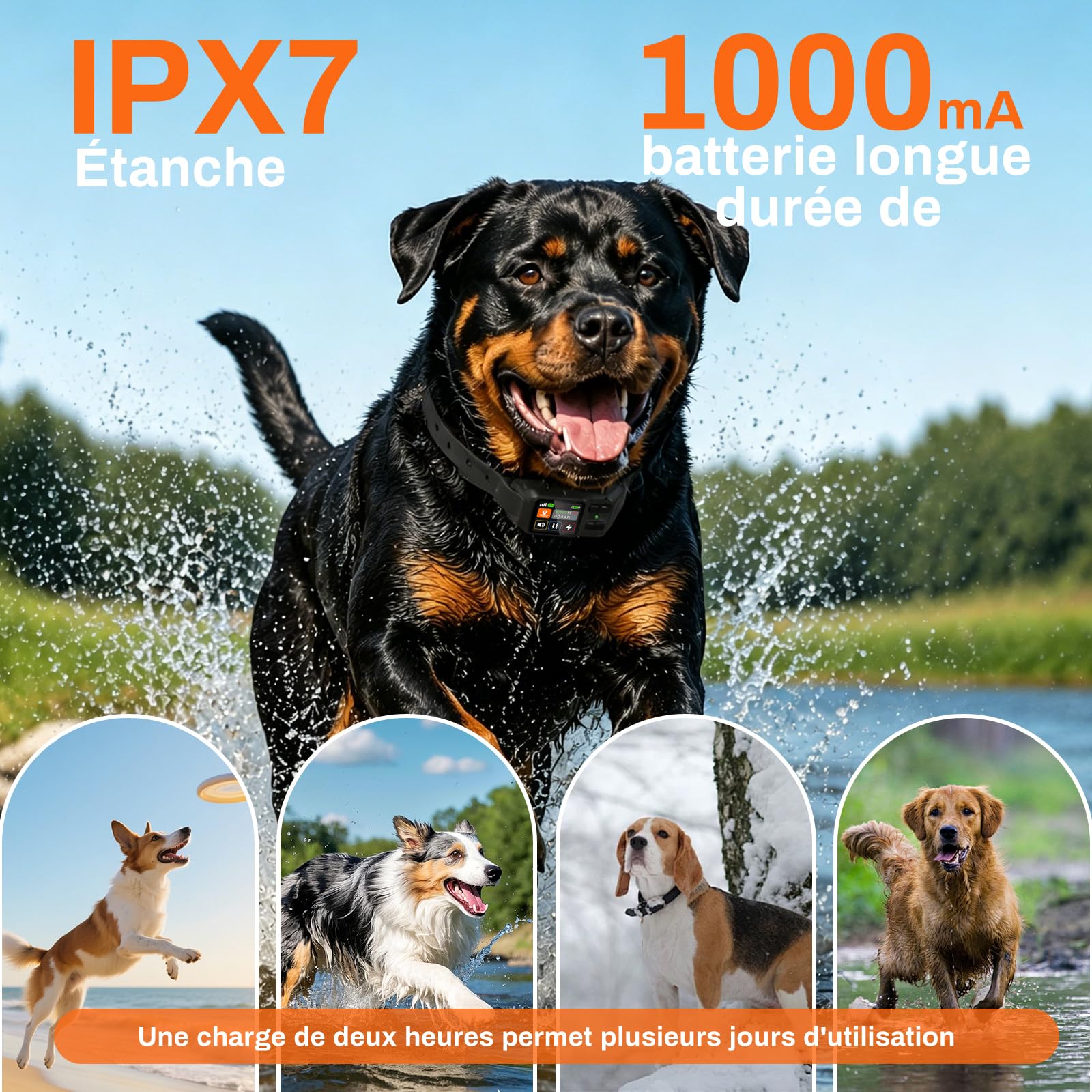 Clôture Électrique sans Fil pour Chien, Collier Anti-Fugue GPS Localisation Précise, 3 Modes Bip/Vibration/Choc, IPX7 Étanche, Collier Anti-Fugue sans Fil Jardin Ferme Camping
