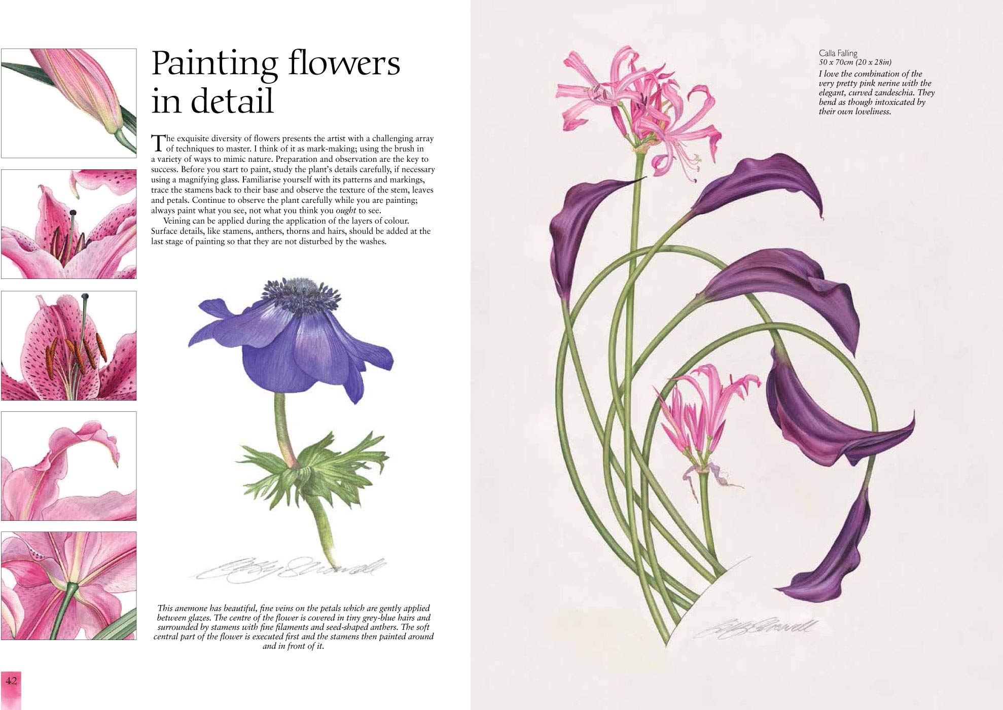 Watercolour Flower Portraits