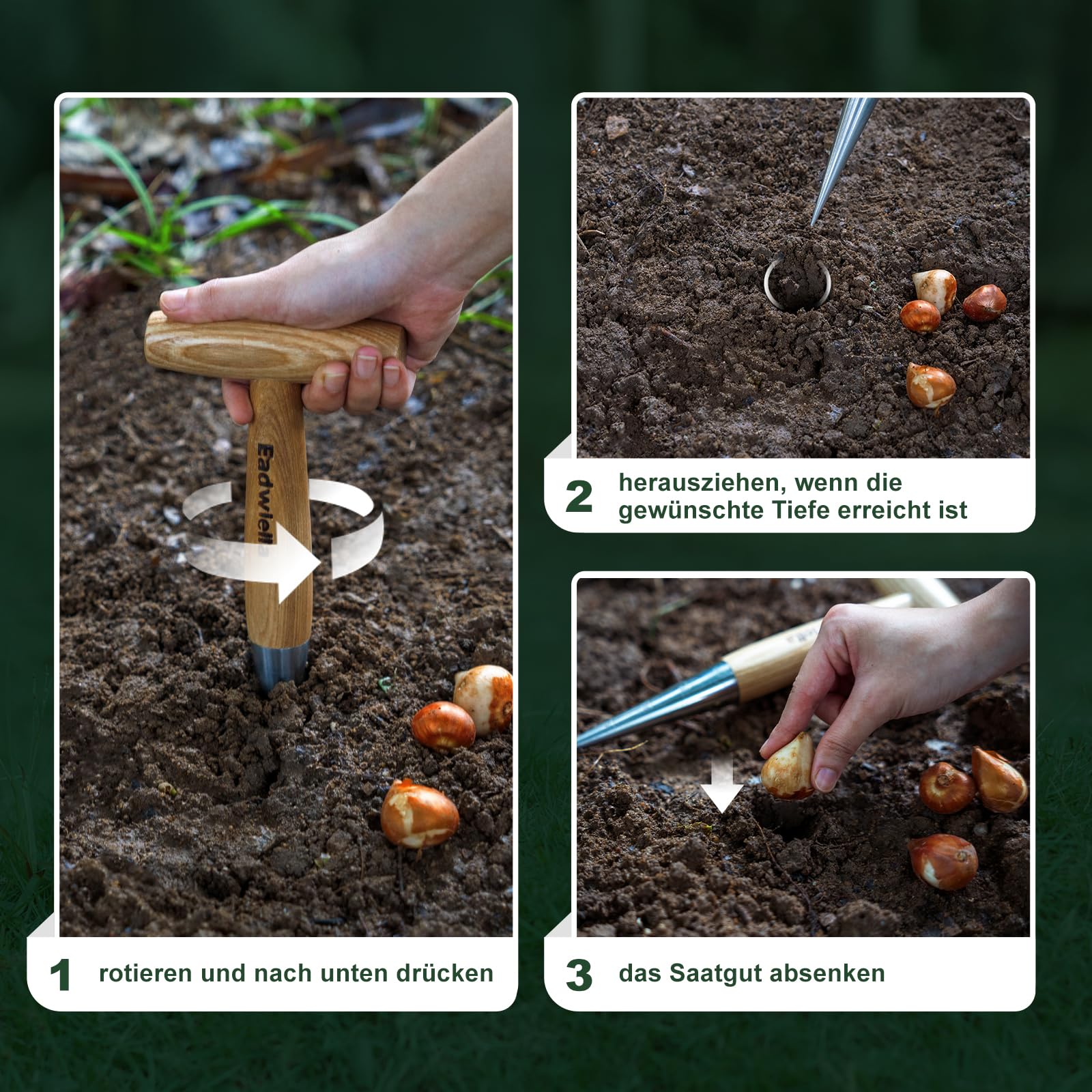 Fioriera di bulbi, bastoncino per piantare in acciaio inox con manico in legno, piantagione di cipolle, attrezzi da giardino (lunghezza totale: 27 cm)