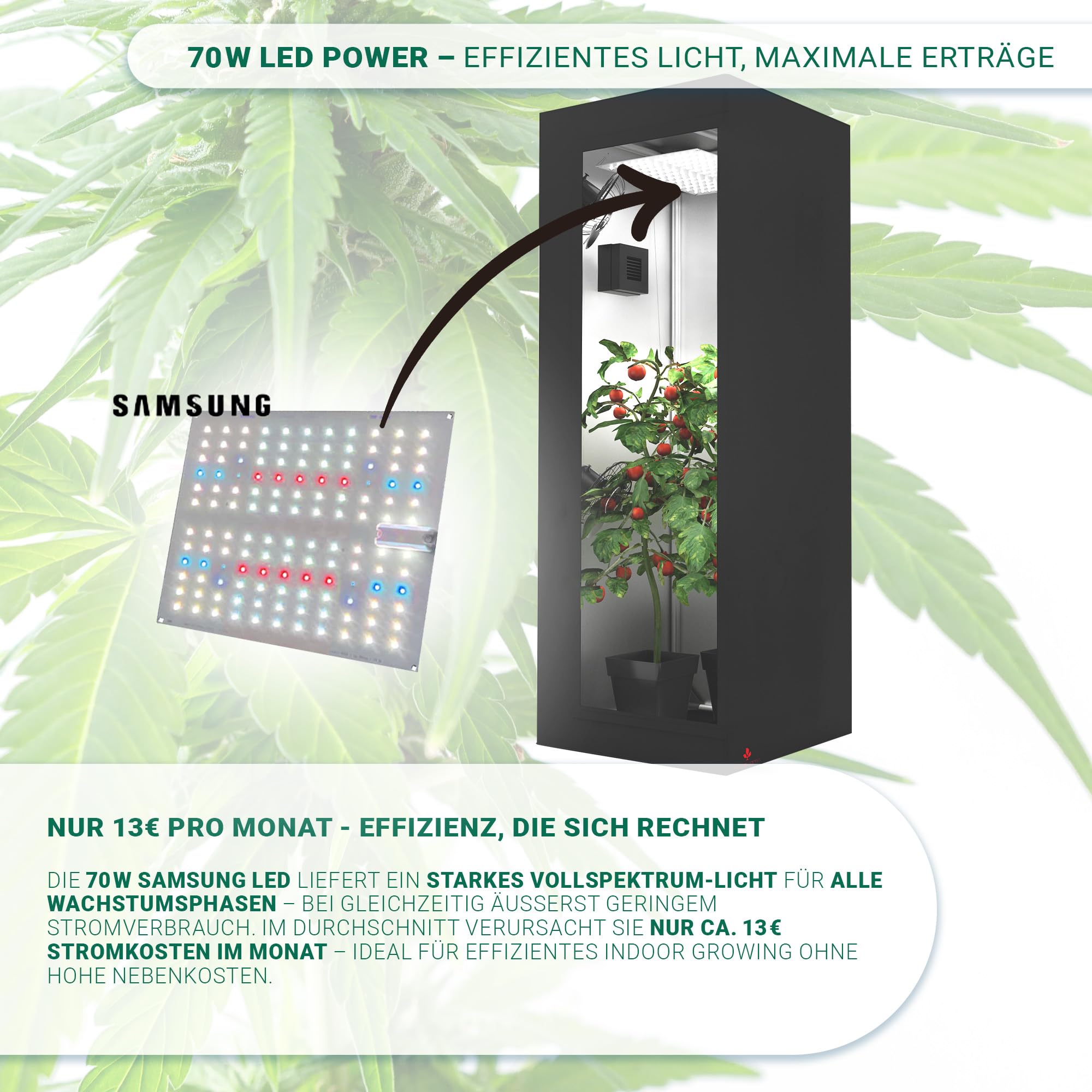 Bonsanto Growbox Starter Set  Komplettset fr Anfnger inkl. Zelt, LED,  Aktivkohlefilter, Erde, Dnger, CO & Anleitung  geruchsdicht, leise &  sofort startklar : Amazon.de: Garten
