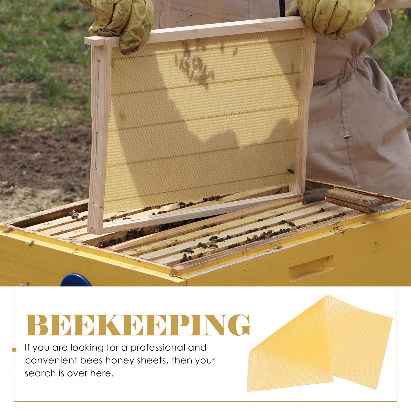 POPETPOP de Láminas de Cera de Panal Base Rápida para Apicultura 30 Piezas Alta Producción , Color Amarillo , Material Cera de Abeja para Proyectos DIY y Manualidades