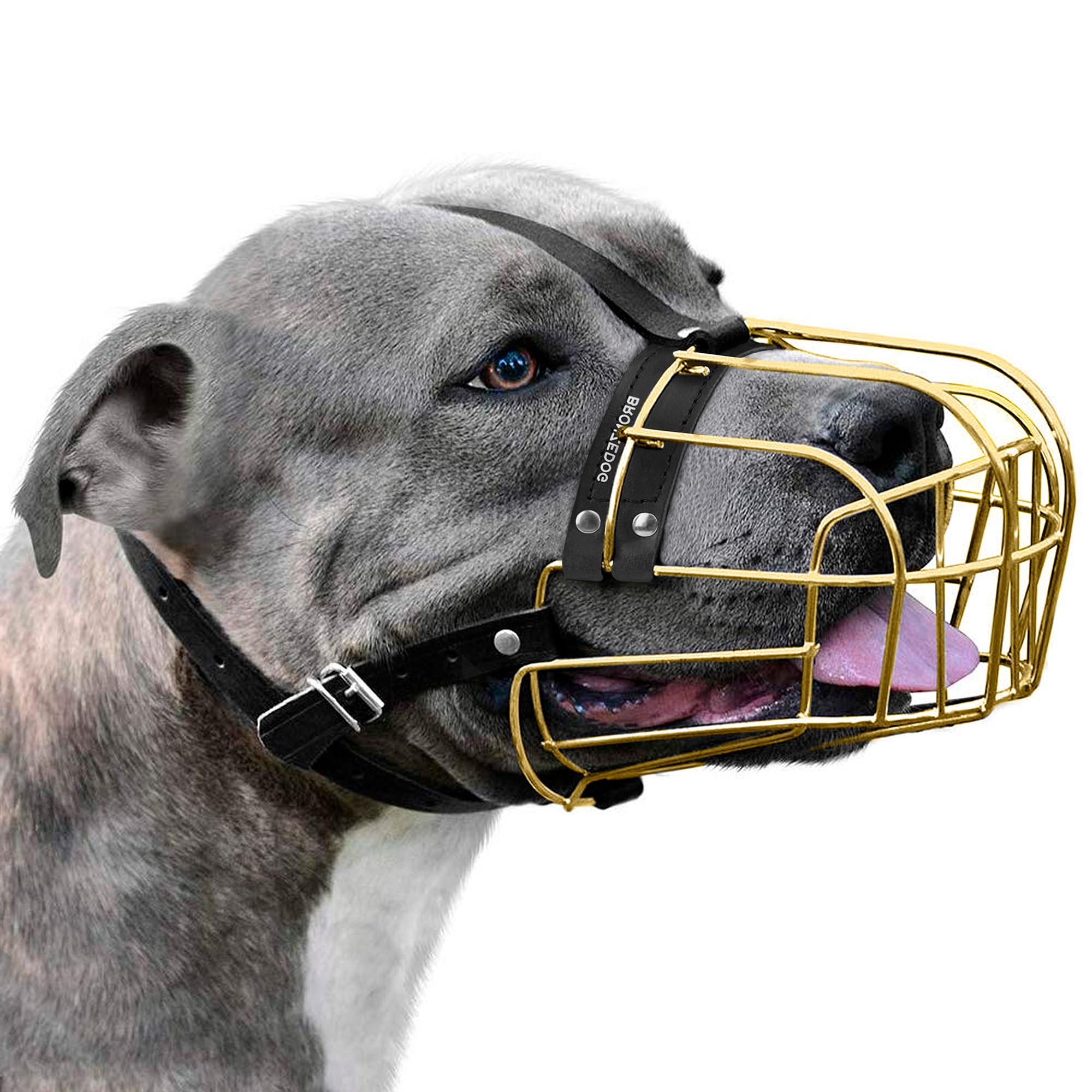 BRONZEDOG Pitbull Dog Muzzle Metal Mask Amstaff Wire Basket Pit Bull Adjustable Leather Straps for Large Dogs (Gold)