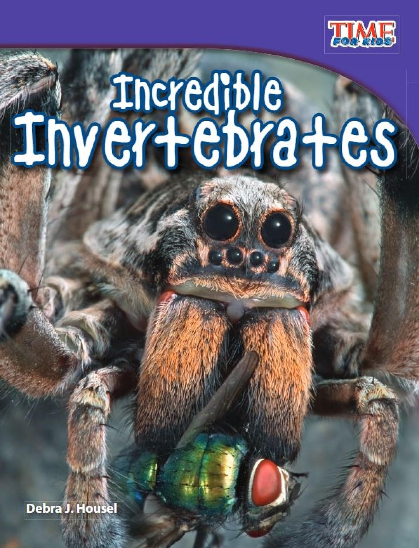 Teacher Created Materials - TIME For Kids Informational Text: Incredible Invertebrates - Grade 3 - Guided Reading Level N