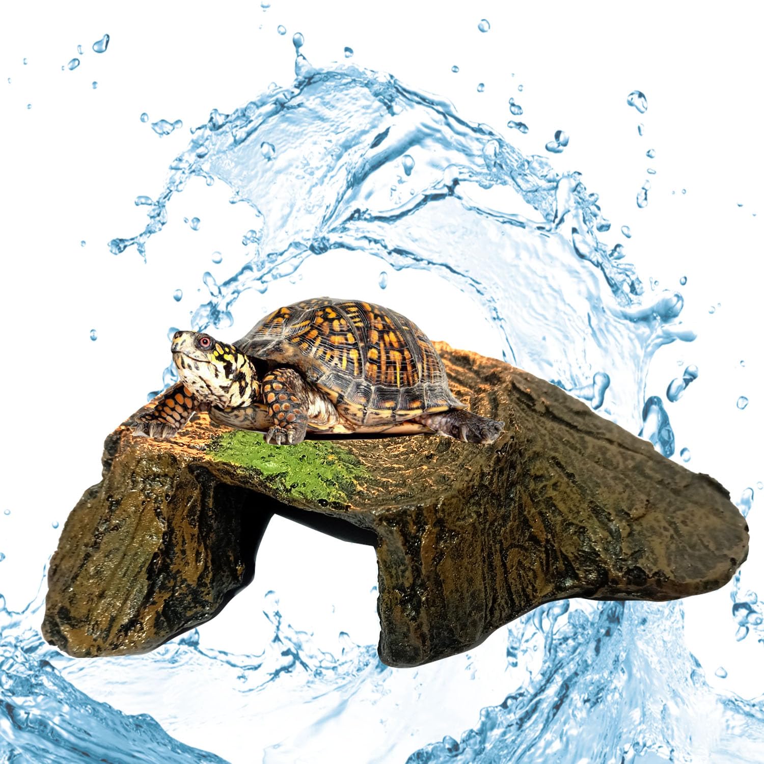 Turtle Island Basking Platform | Tree Trunk Tortoise Aquarium Ornament & Cave Hide-Out | Reptile Sunbathing Dock, Habitat Accessory & Shelter for Turtles, Tortoises, Aquatic Pets