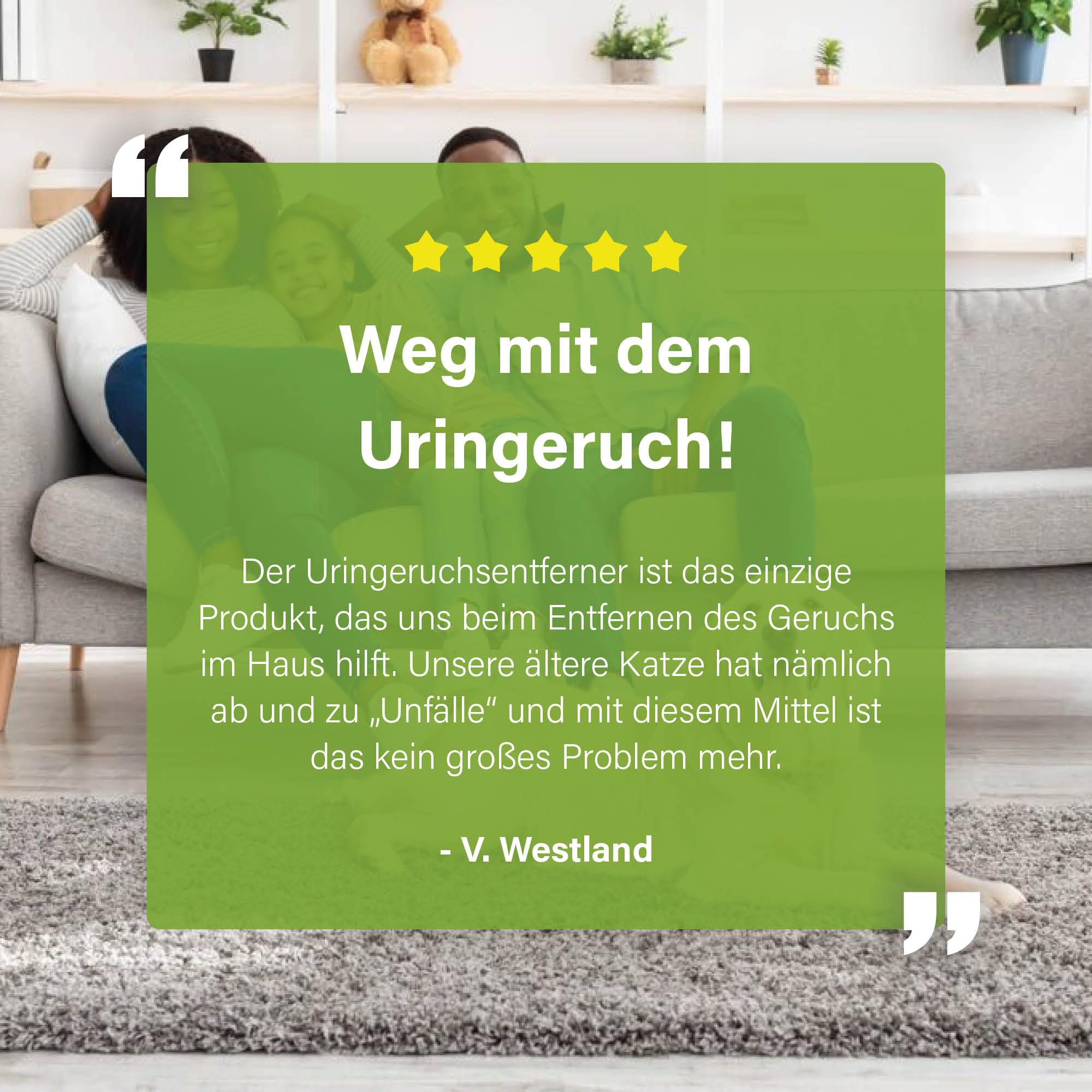 UF2000 4Pets Uringeruch Entferner 2500ml | 100% Biologischer Urin-Geruchsentferner für Katzen und Hunde Uringeruch | Parfümfrei, Effektiv für Haustiere | Konzentrat 1 aus 5 Nachfüllpackung